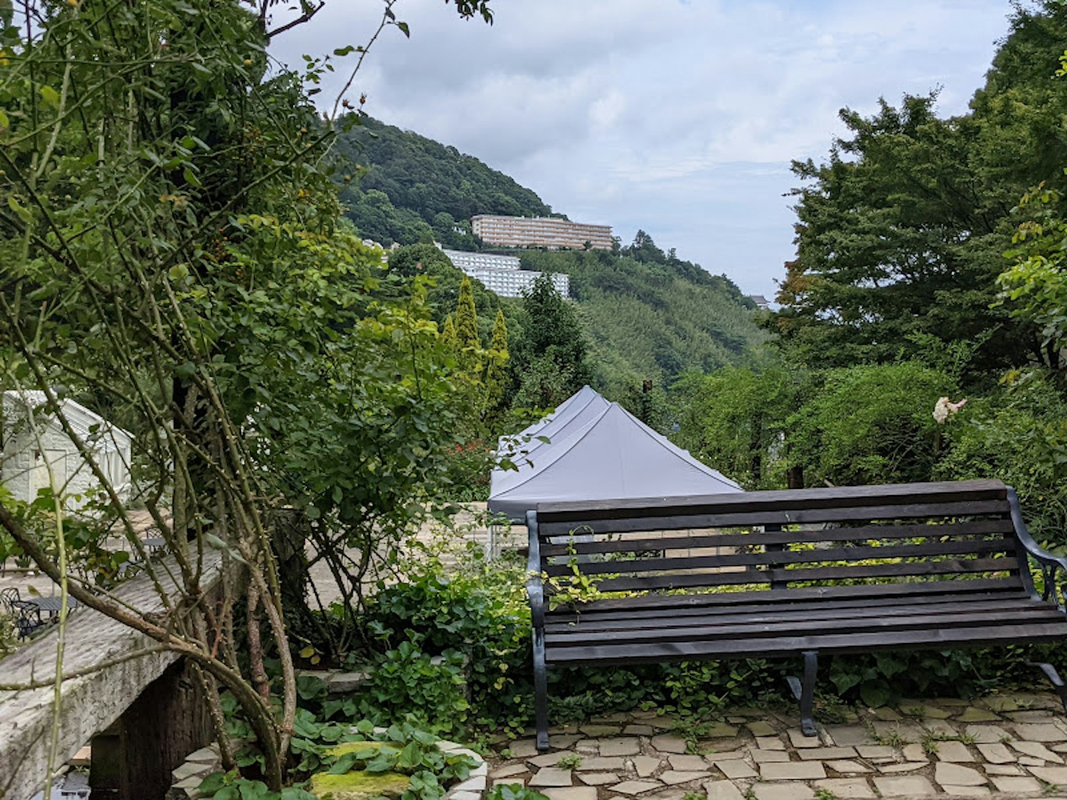 一個郁郁蔥蔥的花園場景，帶有木長椅和帳篷