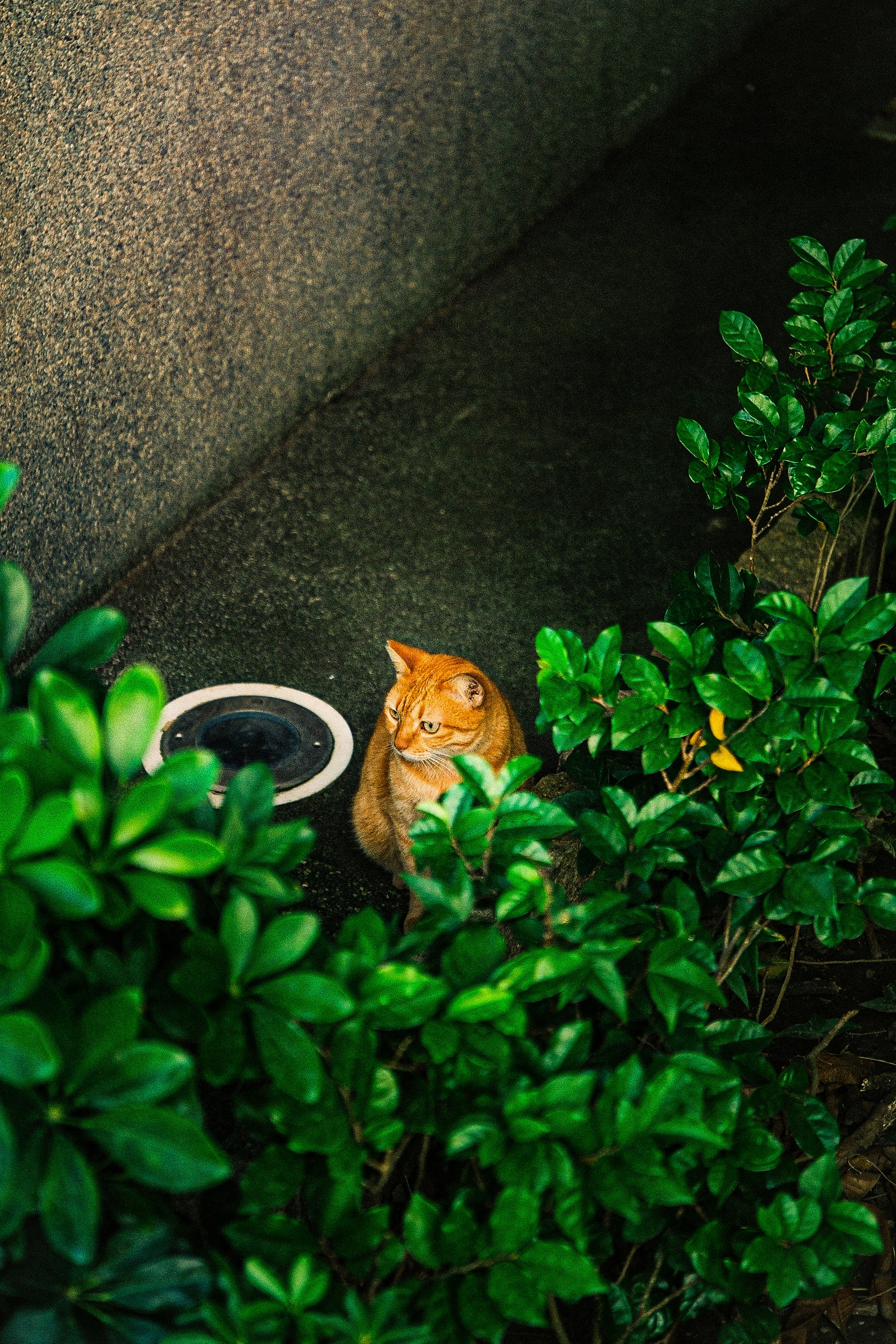photo-rKjsSl5i11hAkqZUpcSP