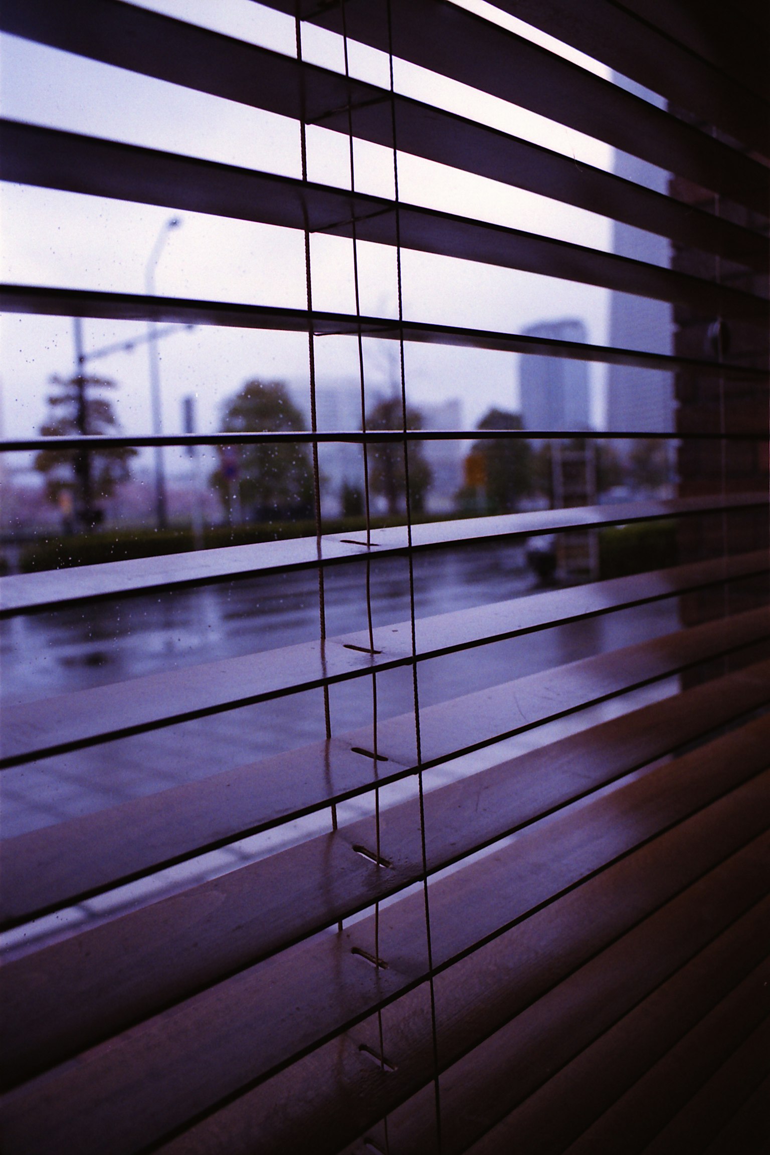 วิวเมืองในฝนผ่านมู่ลี่