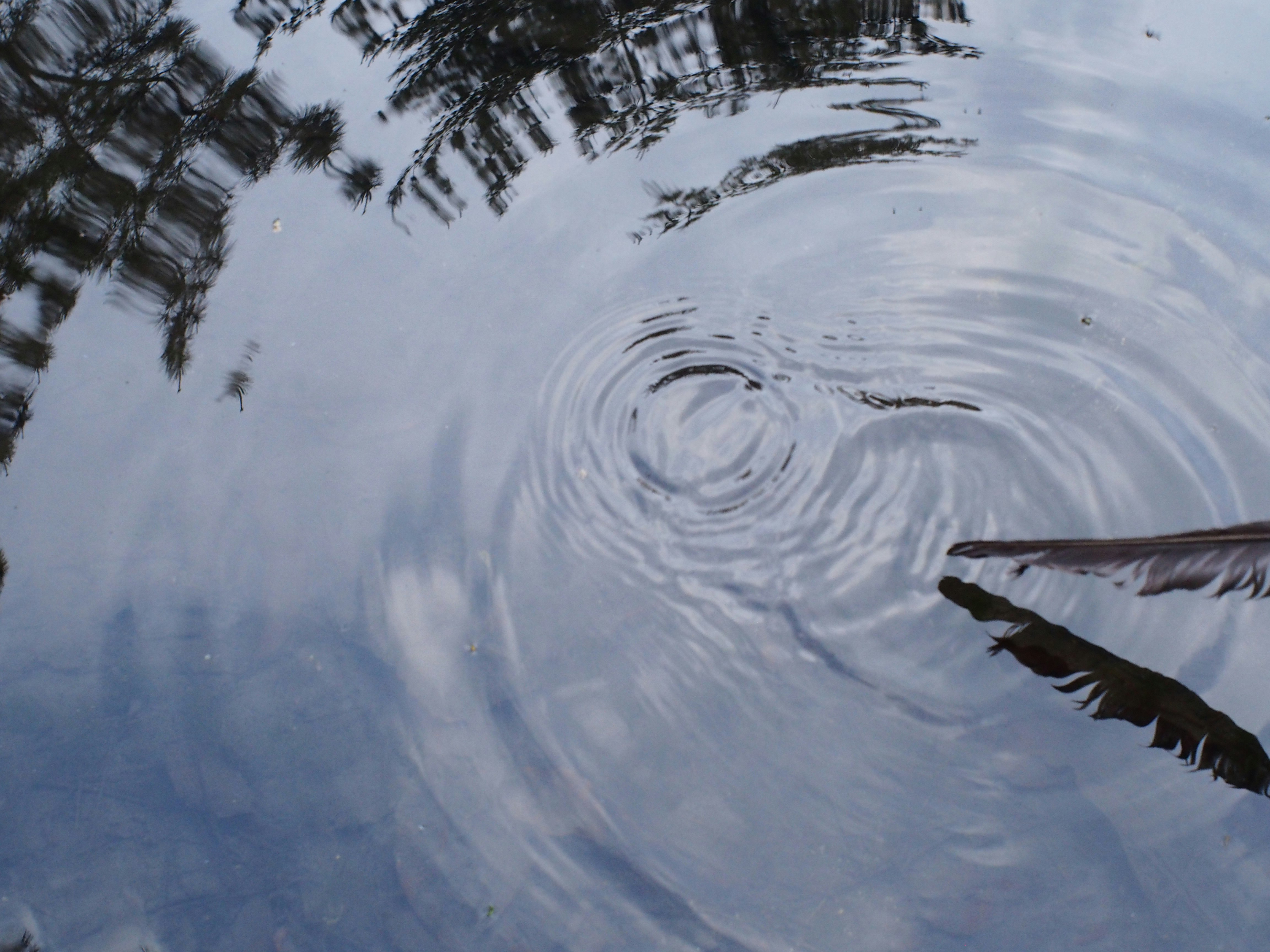 increspature sulla superficie dell’acqua con riflessi simili a quelli subacquei