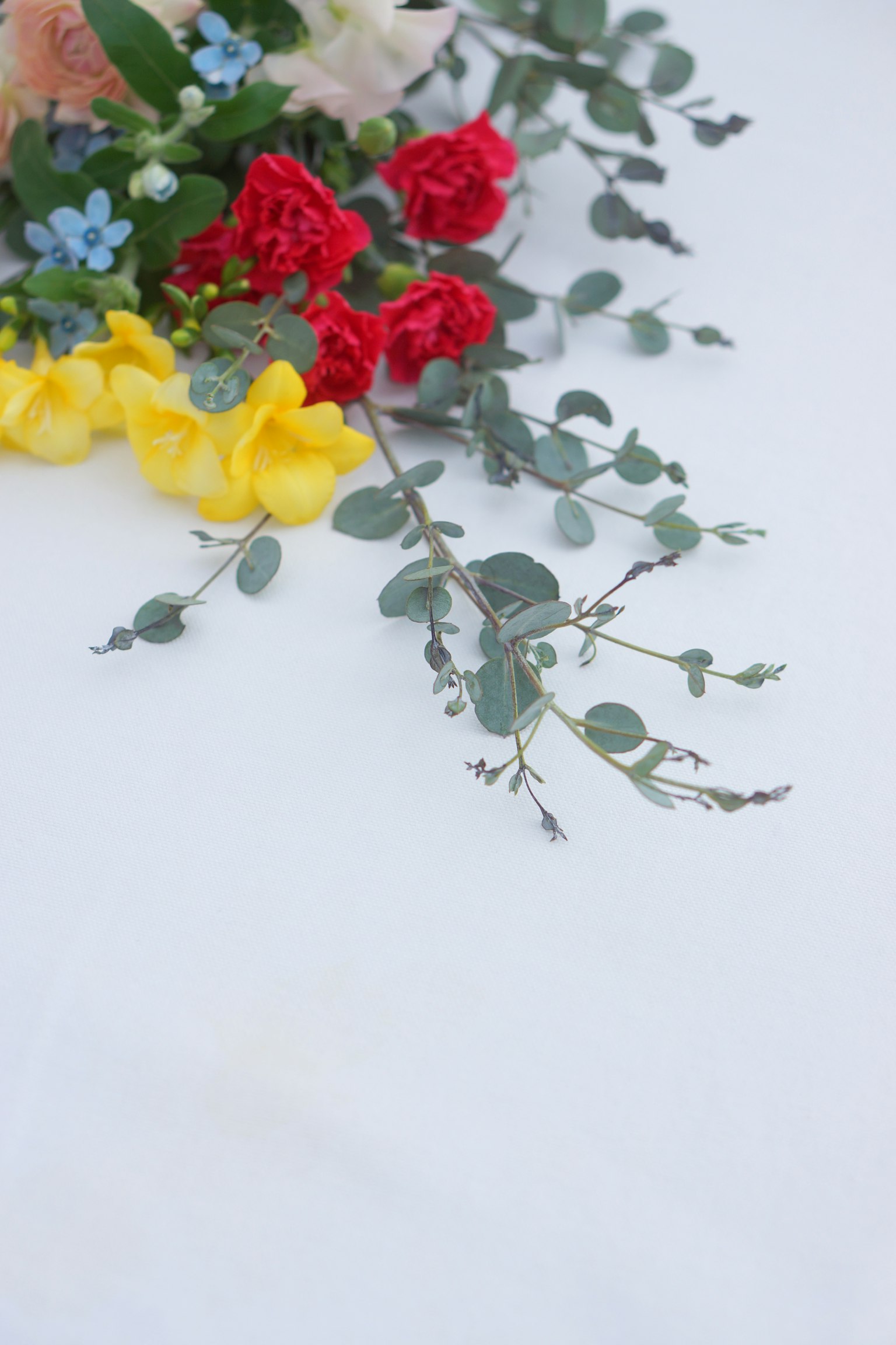Susunan bunga berwarna-warni dan daun eucalyptus di atas latar belakang putih