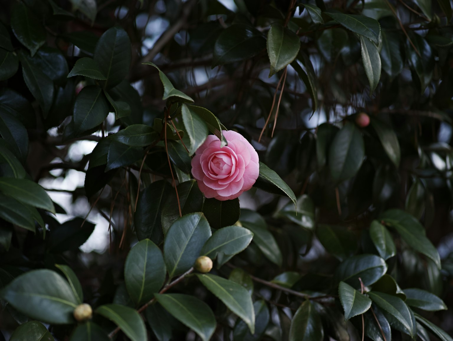 photo-rLGtirjXwlCBDOVp7OPp-image