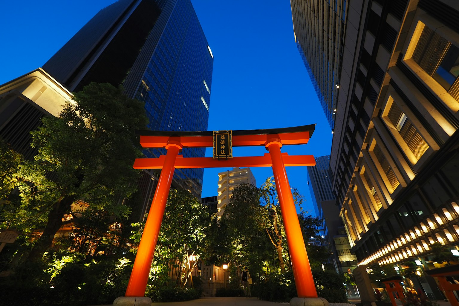 夜間現代建築環繞的紅色鳥居