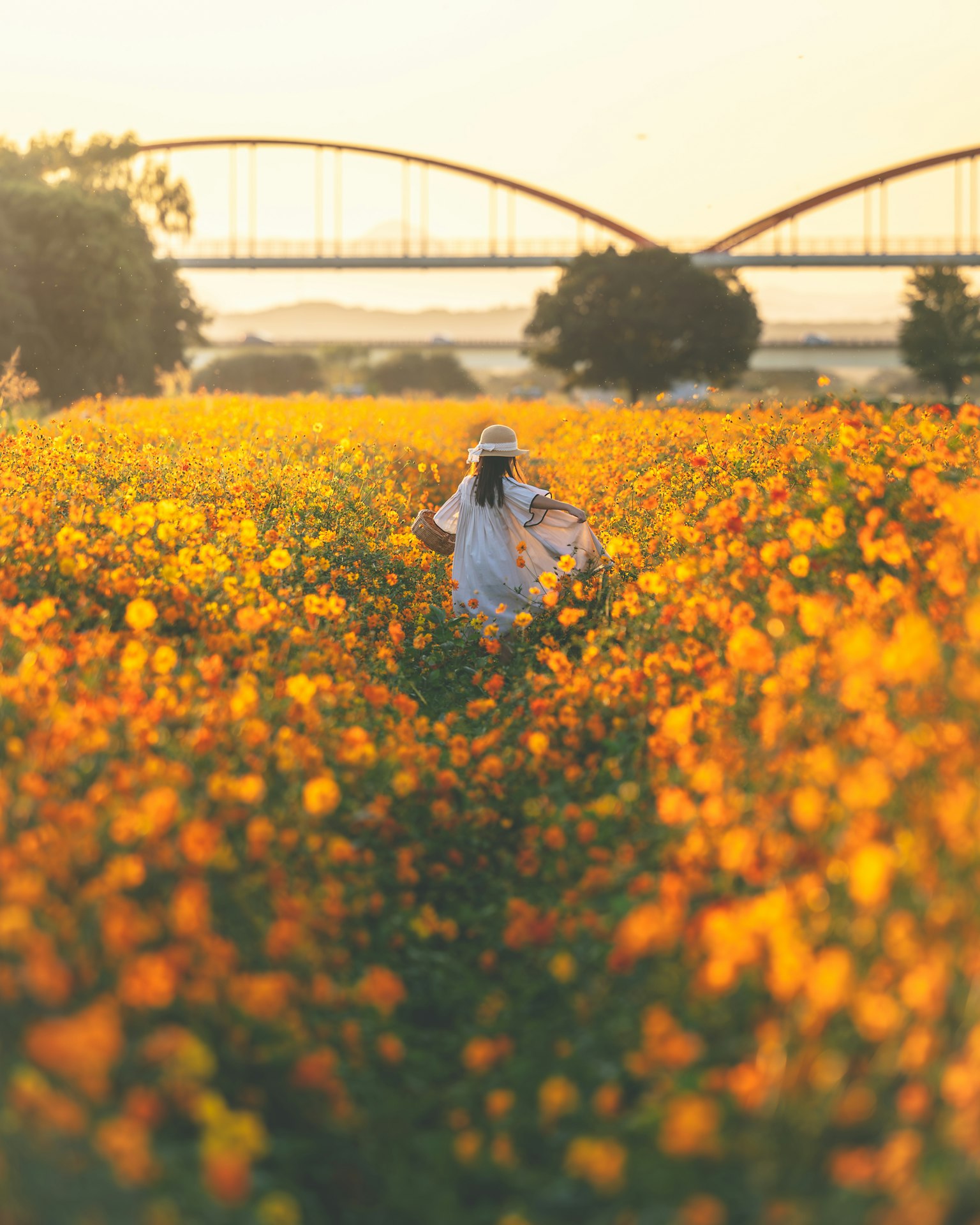 Woman walking through a field of yellow flowers with a bridge in the background