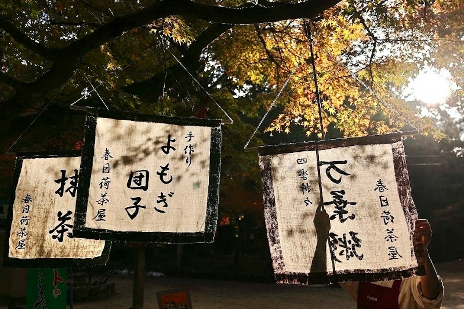 Japanese traditional lanterns with calligraphy hanging against an autumn backdrop