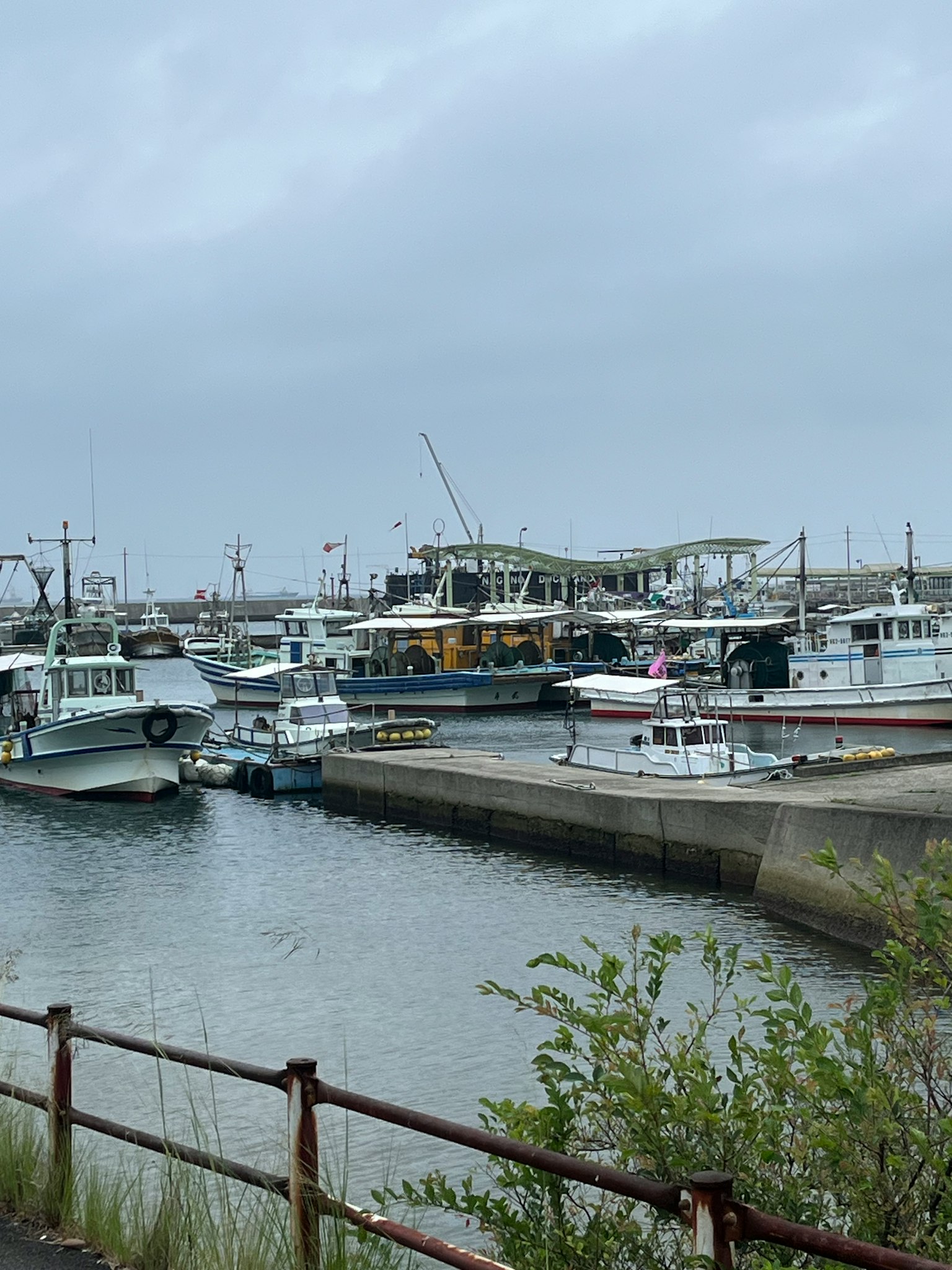 Boote im Hafen bei grauem, bewölkten Himmel