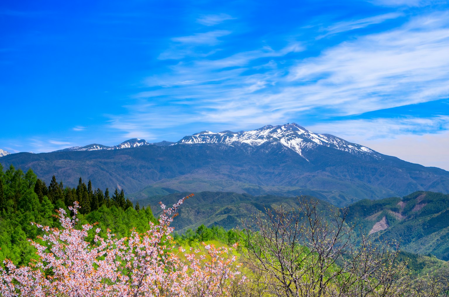 Beautiful landscape of mountains with snow-capped peaks and blooming cherry blossoms