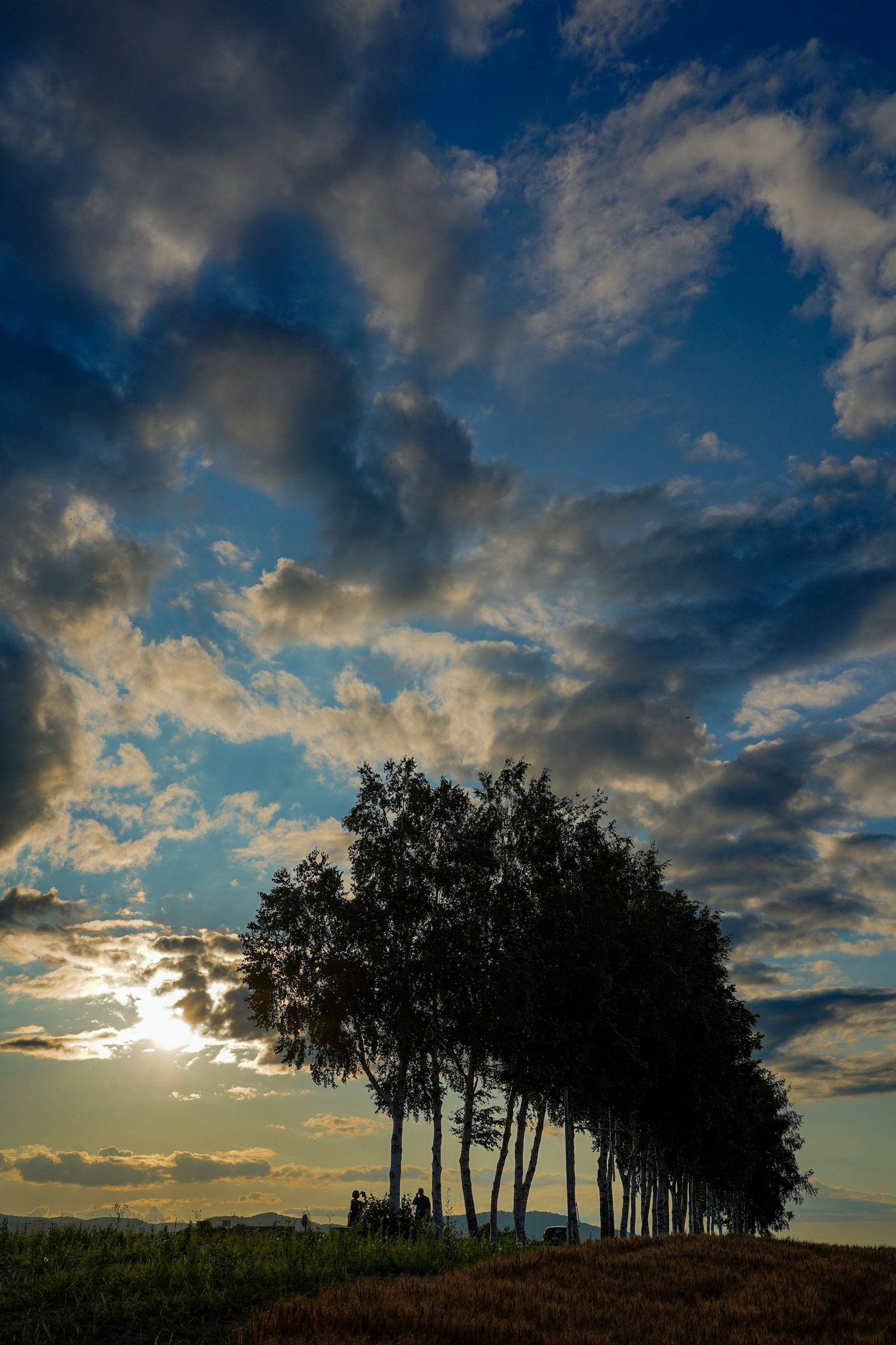 photo-rN0wv6fwlfUV3jXggdgW-image