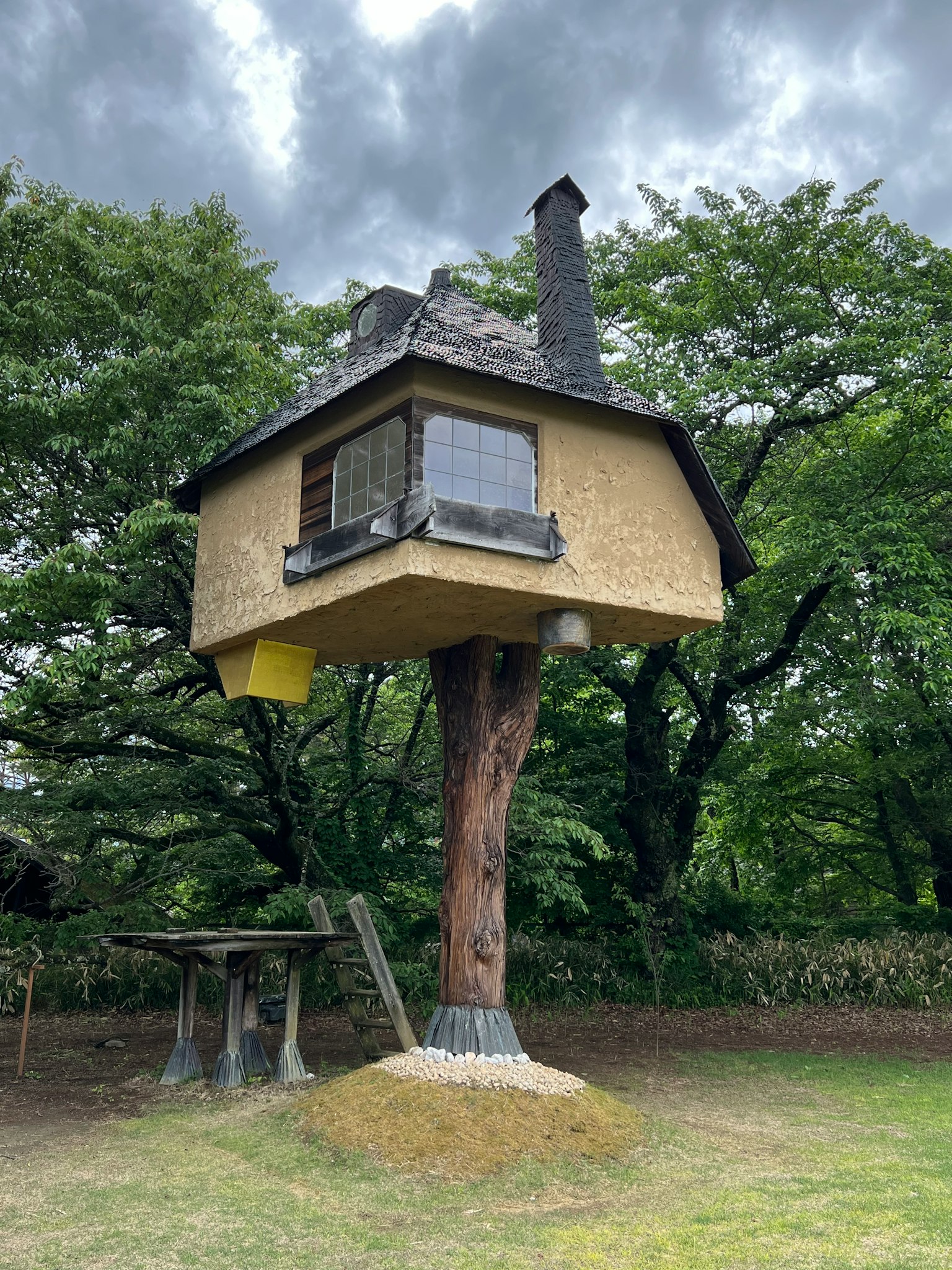 獨特的房子建在樹上 四周環繞著自然 特徵是窗戶和煙囪