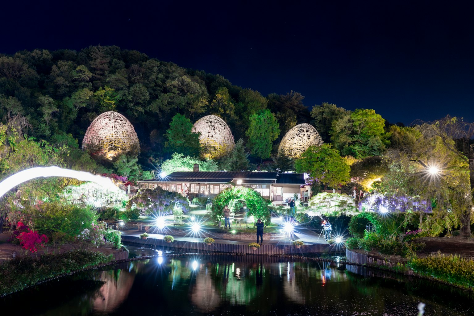Nighttime garden scene with illuminated reflections on the water surrounded by greenery and unique structures