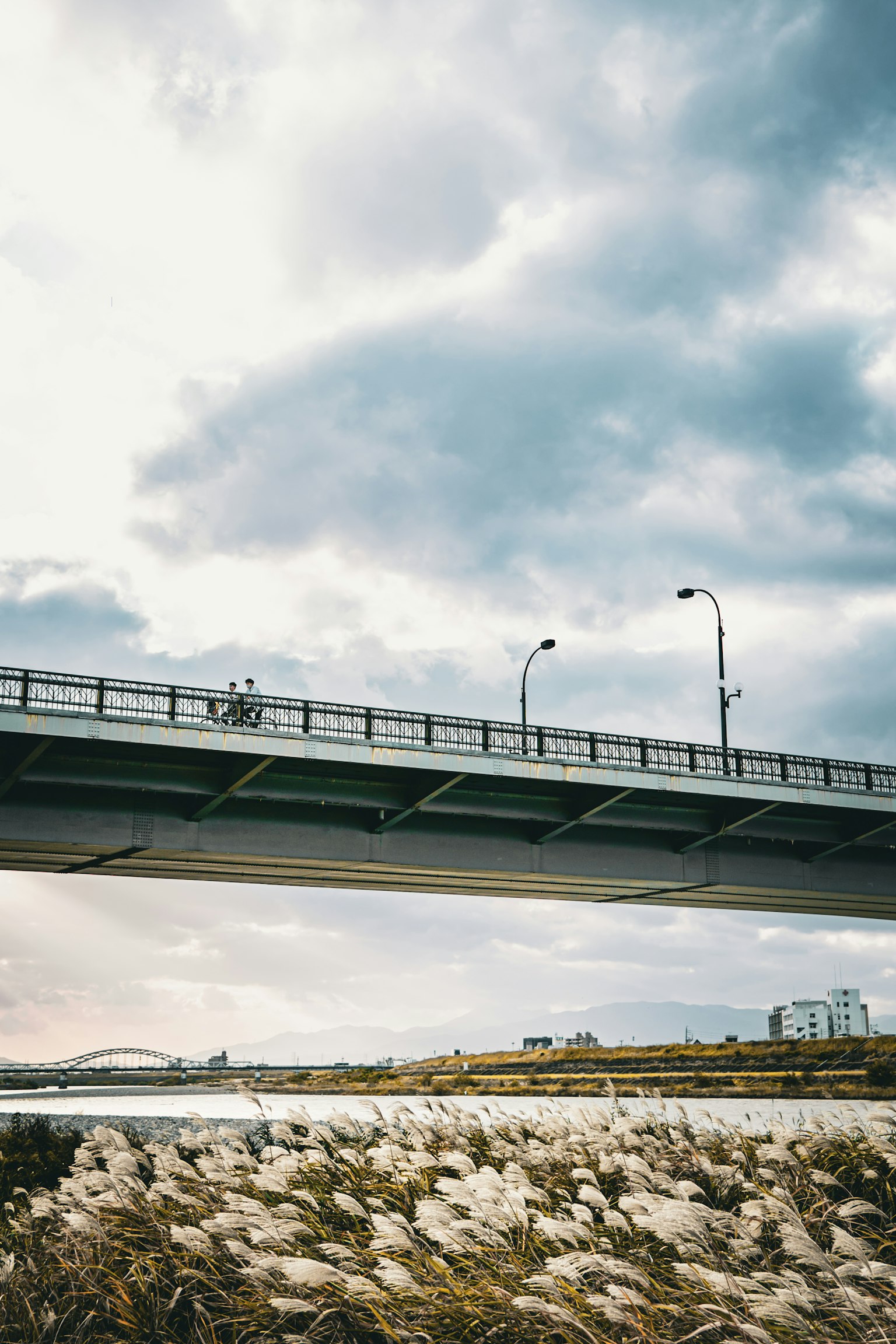View of a bridge from below with a cloudy sky and riverbank