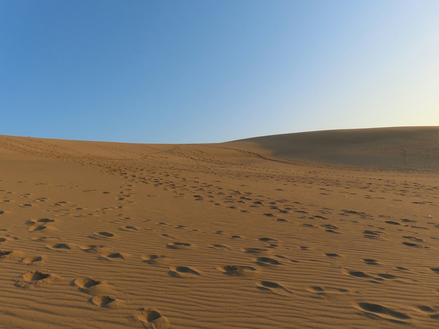 青い空と砂丘を背景にした砂漠の風景 足跡が残る砂地