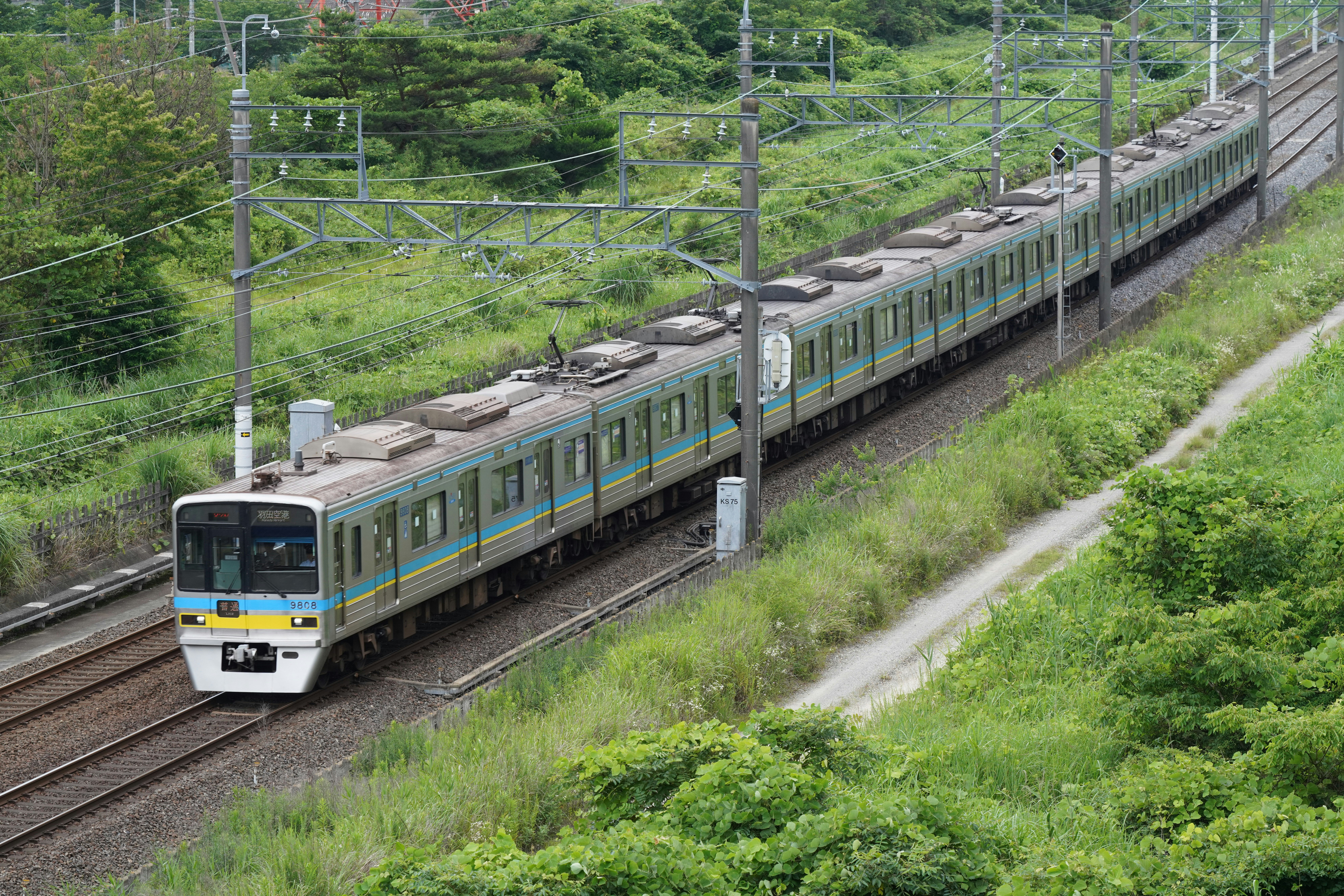 火車穿過郁郁葱葱的風景