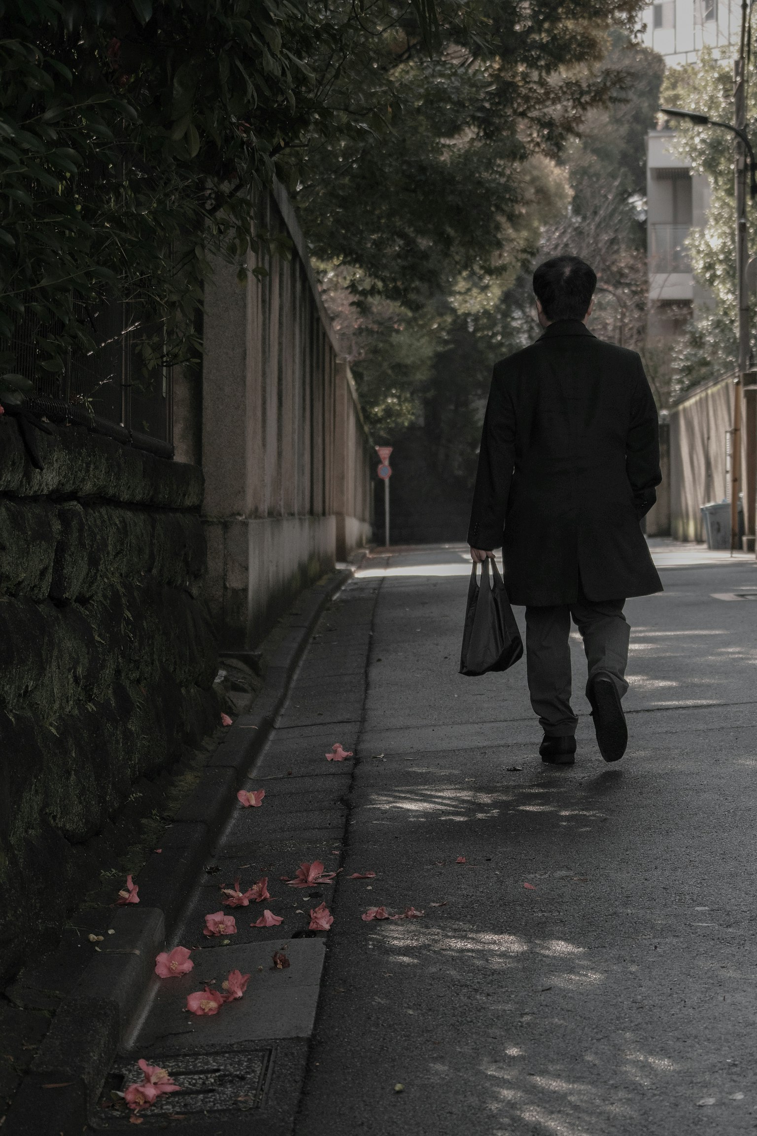 一個人在昏暗的街道上走,路邊有掉落的花瓣