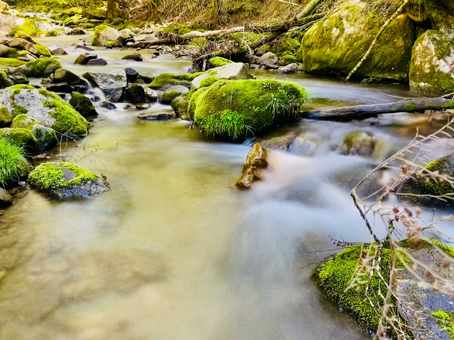 Vista escénica de un arroyo con rocas cubiertas de musgo