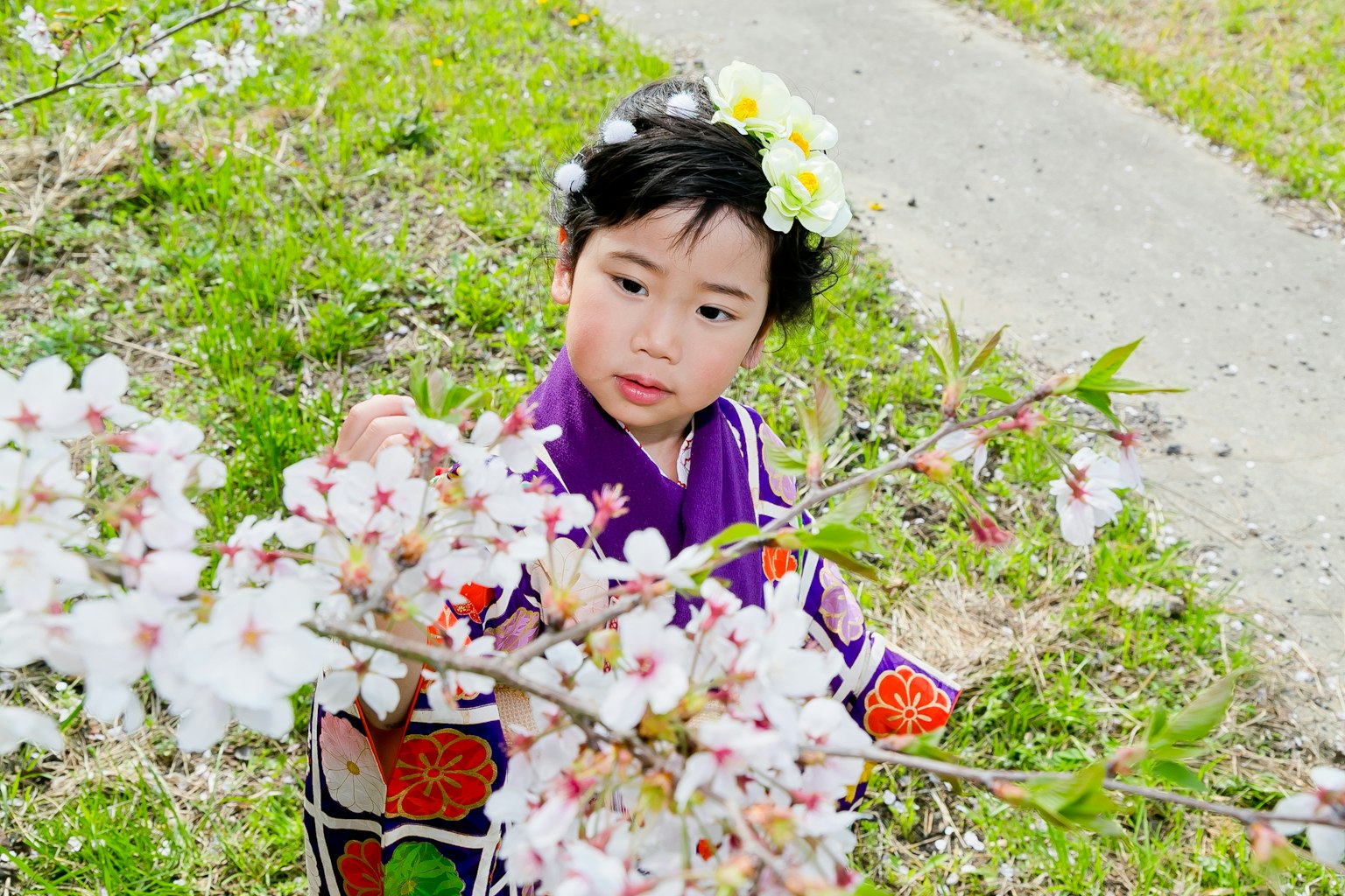 Trẻ em gần hoa anh đào đội vương miện hoa mặc kimono màu tím