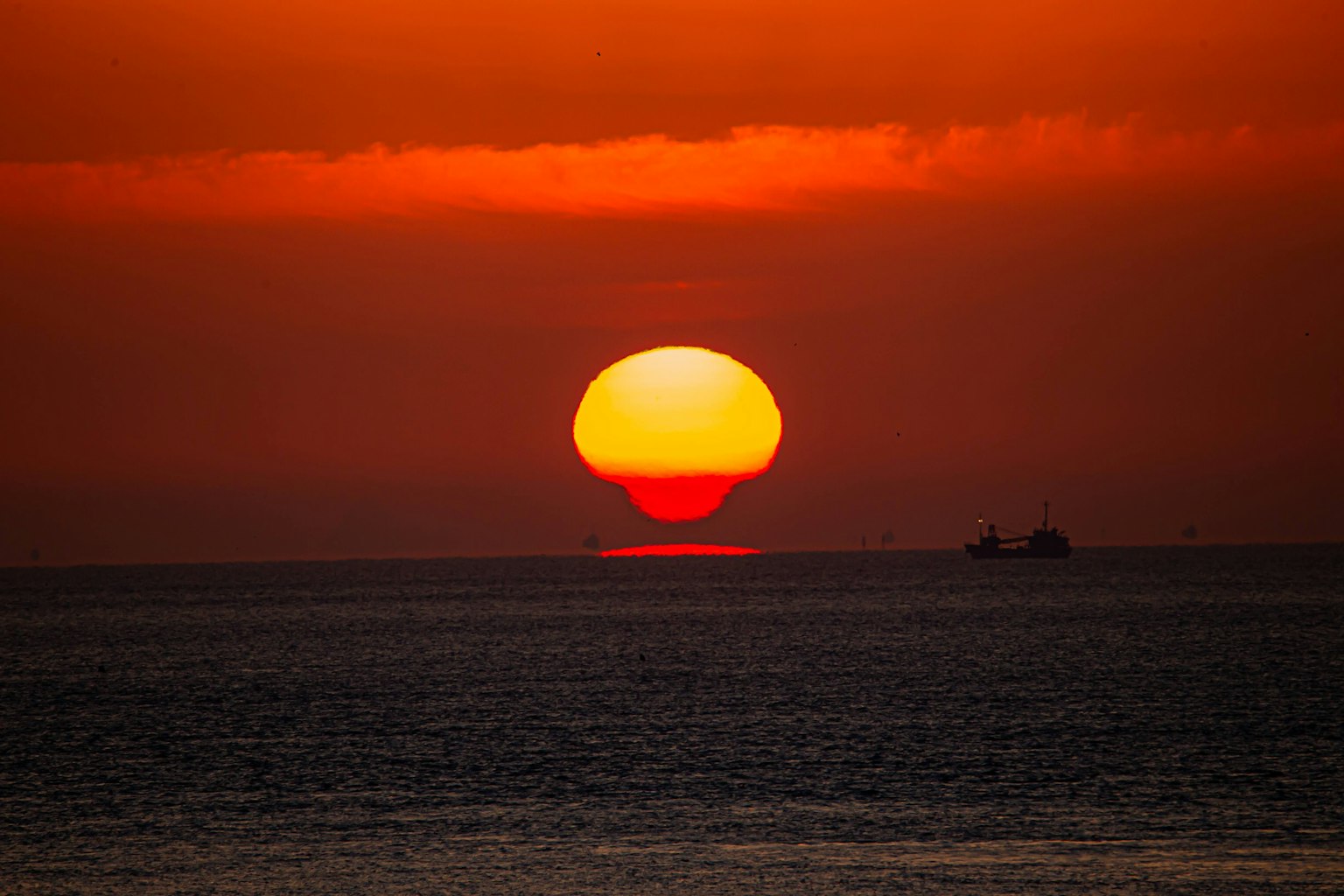 photo-rQDShv1wId6XM2YMhDf9-image