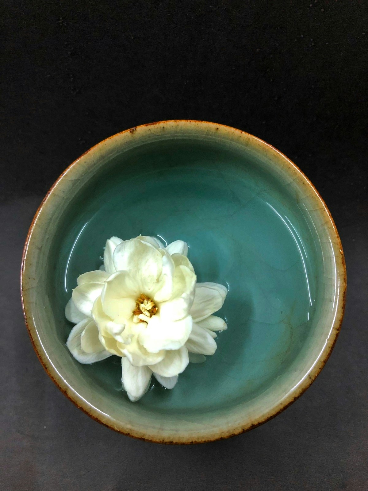 深色背景上藍色碗裡的白色花朵