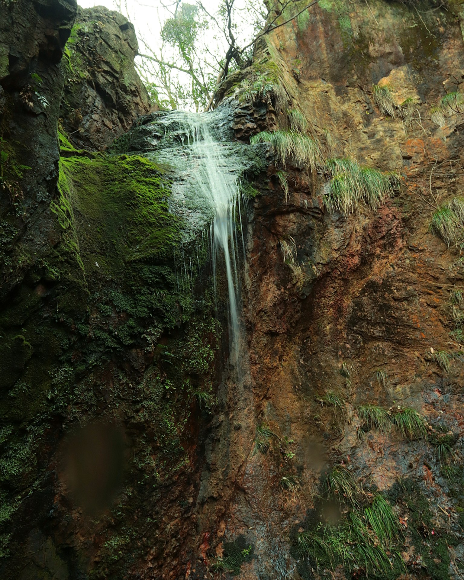 Air terjun kecil mengalir di antara batu-batu yang ditutupi lumut dikelilingi oleh vegetasi