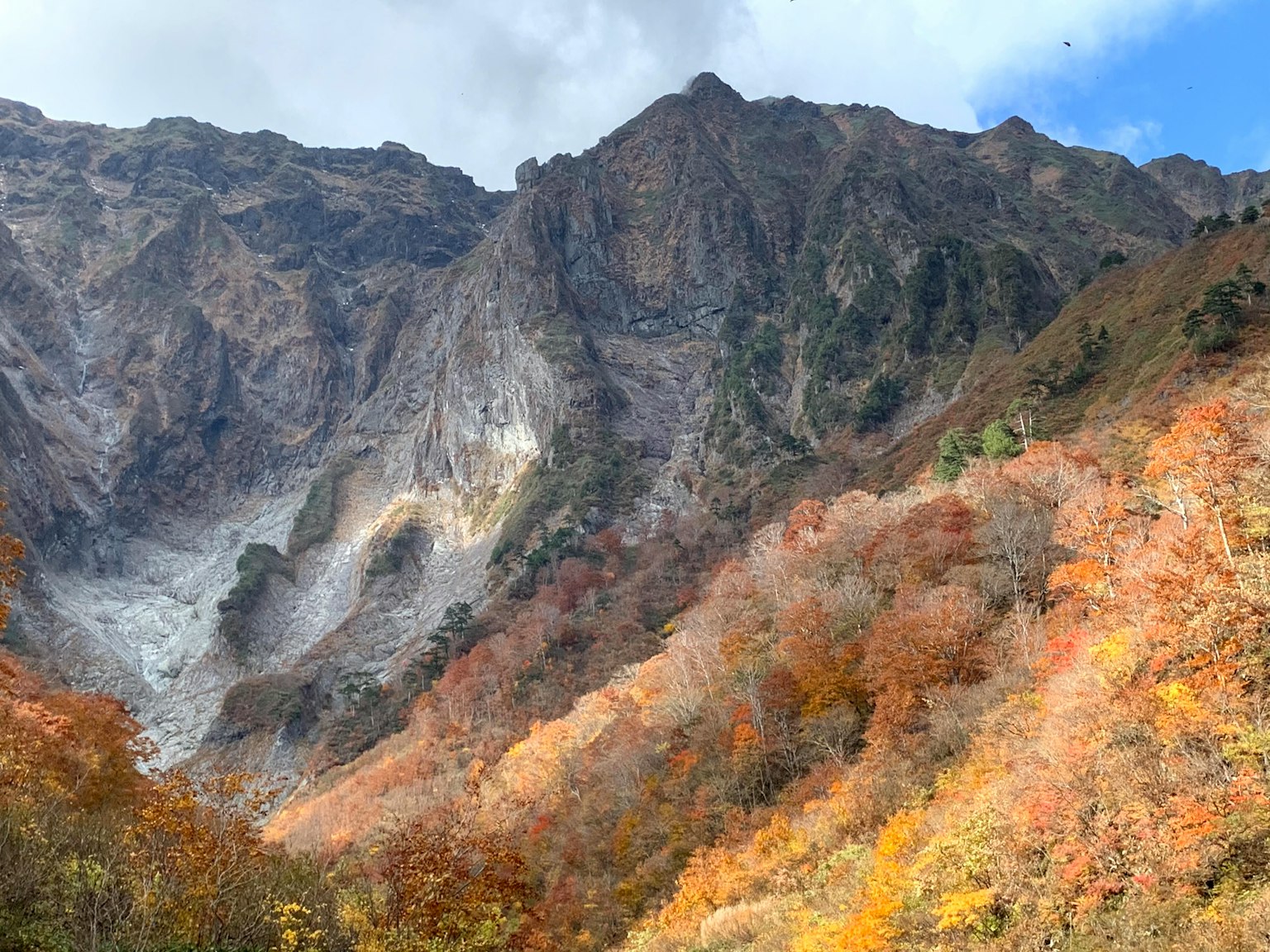 Phong cảnh núi với lá mùa thu rực rỡ