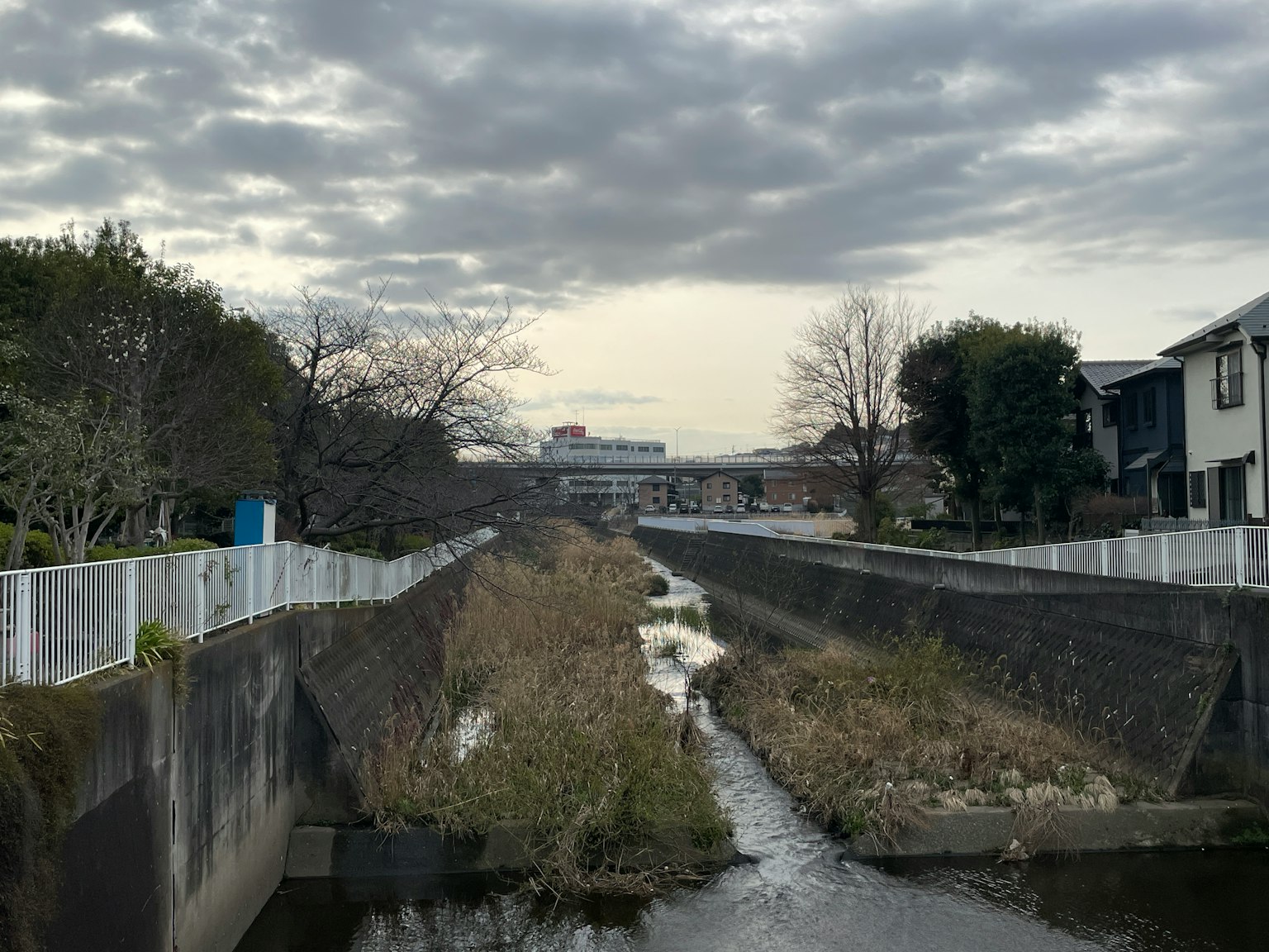 Vue d'une rivière bordée de maisons sous un ciel nuageux