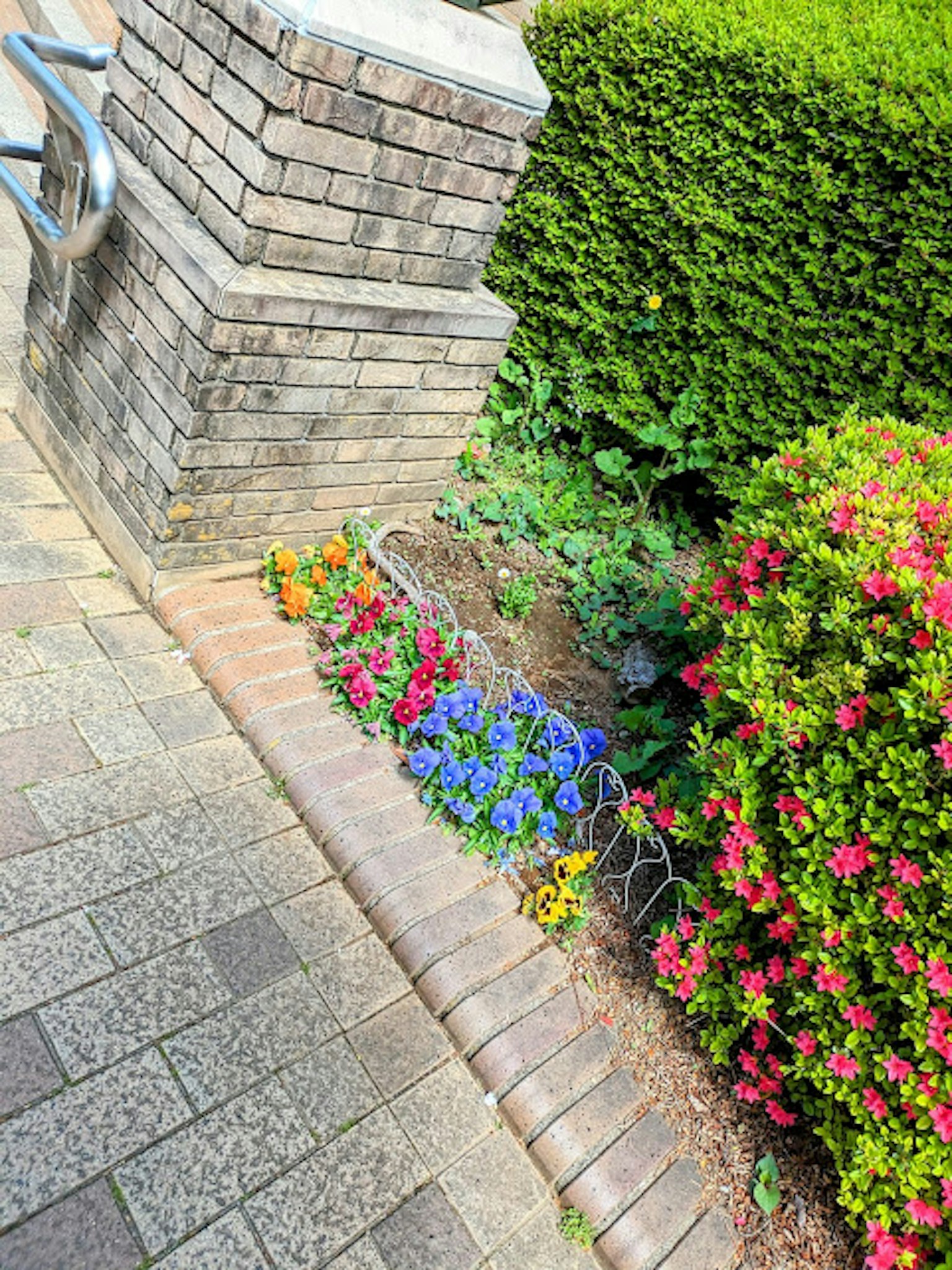 Fiori colorati che sbocciano in un angolo di giardino con pavimentazione in mattoni