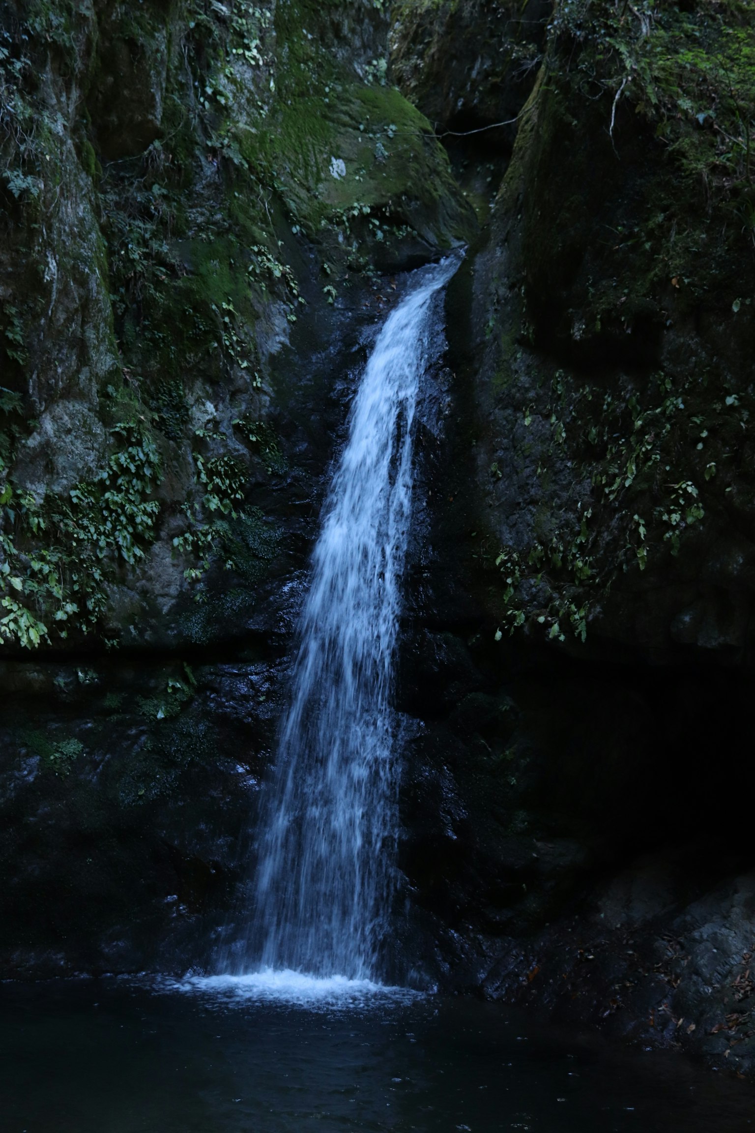 一条小瀑布在岩石之间流淌，周围环境郁郁葱葱