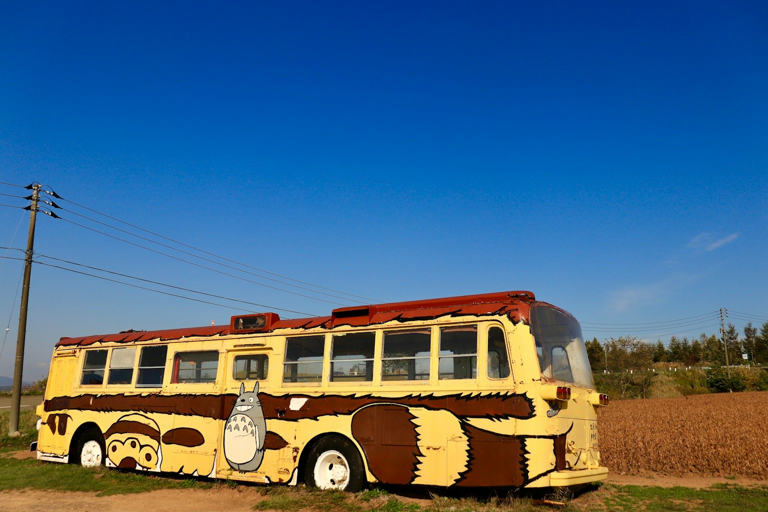 Un bus jaune avec des motifs marron sous un ciel bleu clair