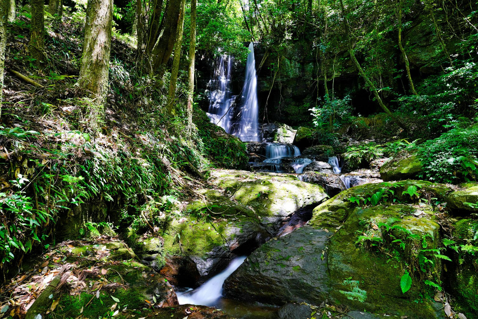 ทิวทัศน์ที่สวยงามของน้ำตกและน้ำที่ไหลในป่าเขียวขจี