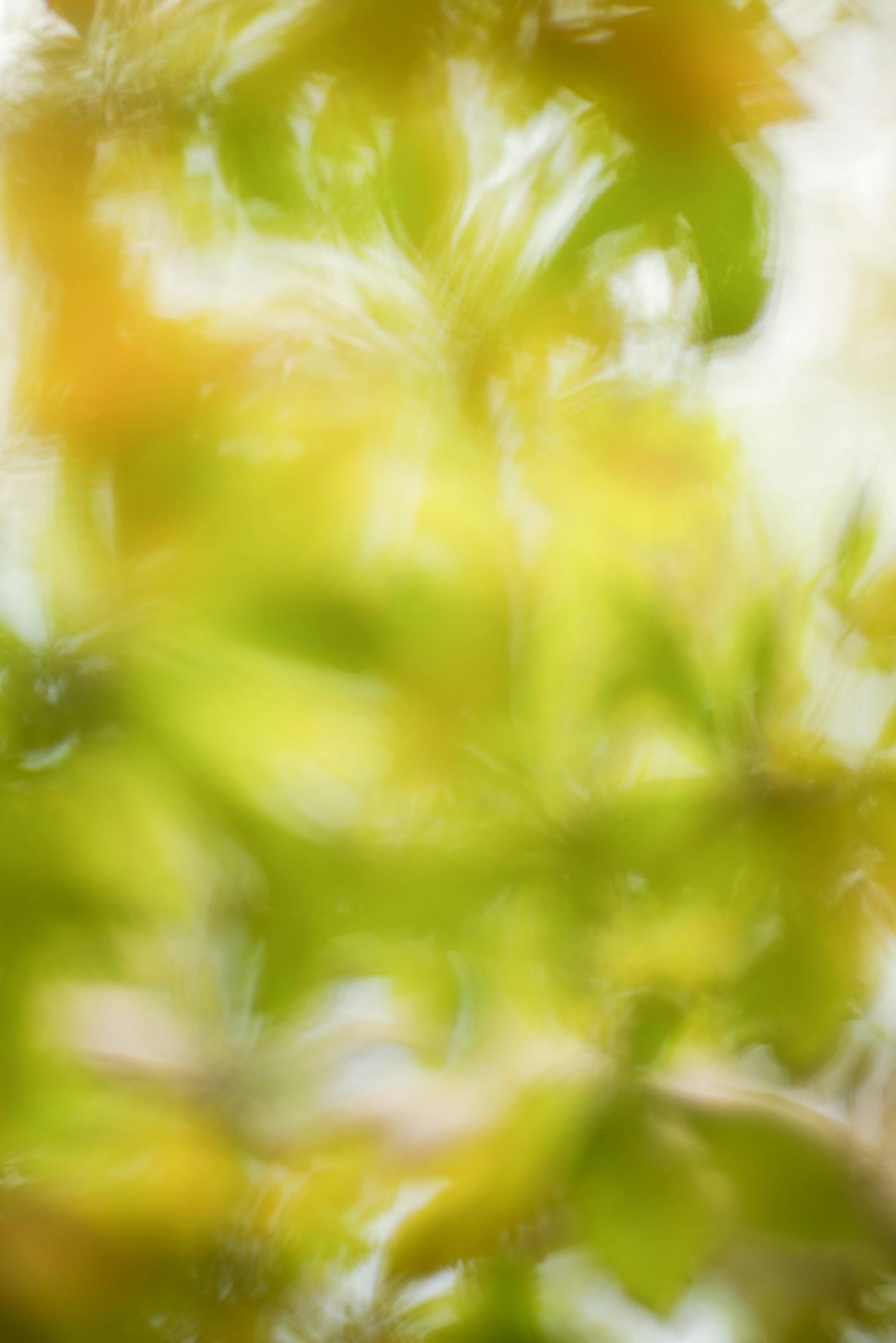 photo-rT6Wavn67BKu6kLdBPky-image