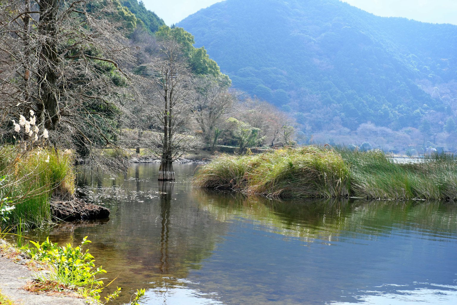 Lago sereno rodeado de montañas y árboles