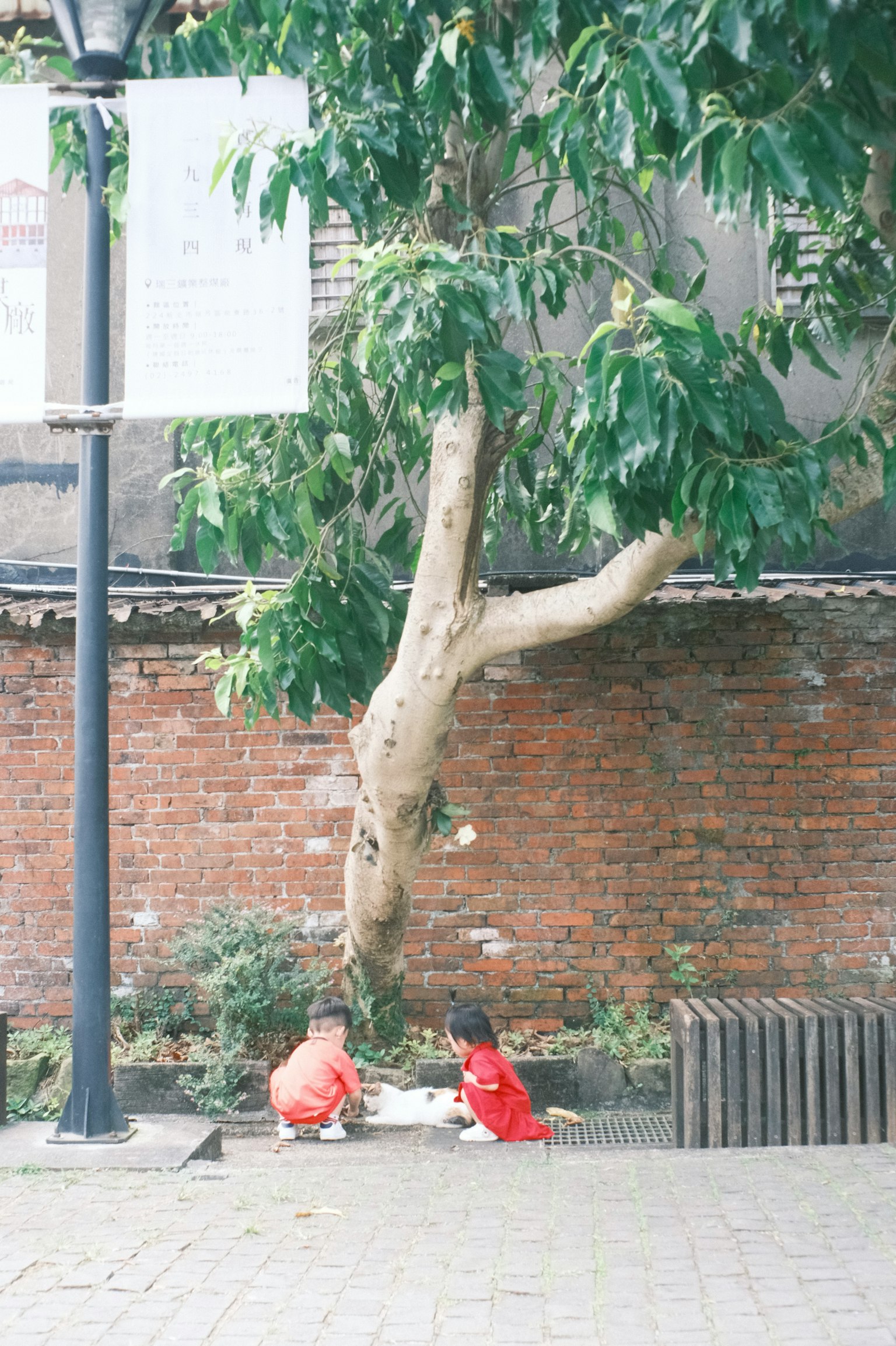 Hai đứa trẻ trong trang phục đỏ ngồi dưới một cái cây gần tường gạch