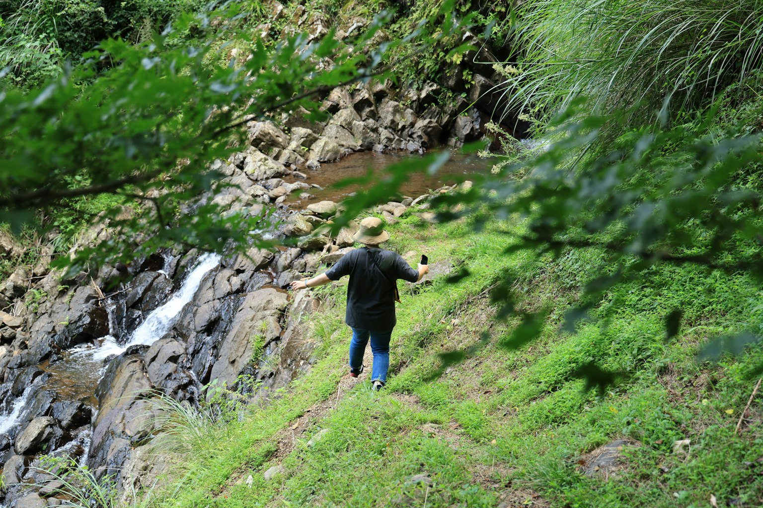 Orang berjalan di dekat aliran sungai di lanskap hijau yang subur