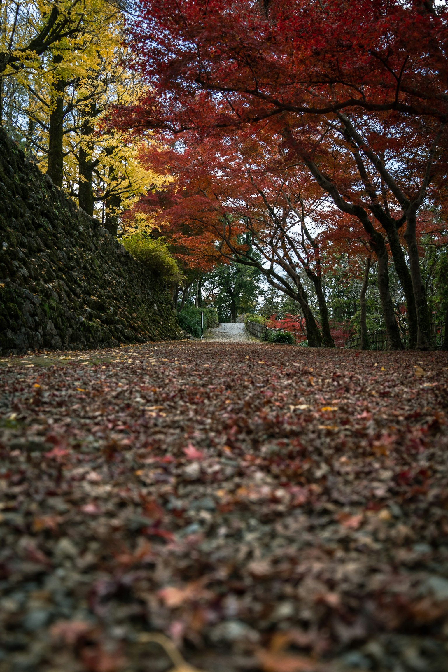 Chemin pittoresque entouré de feuillage d'automne