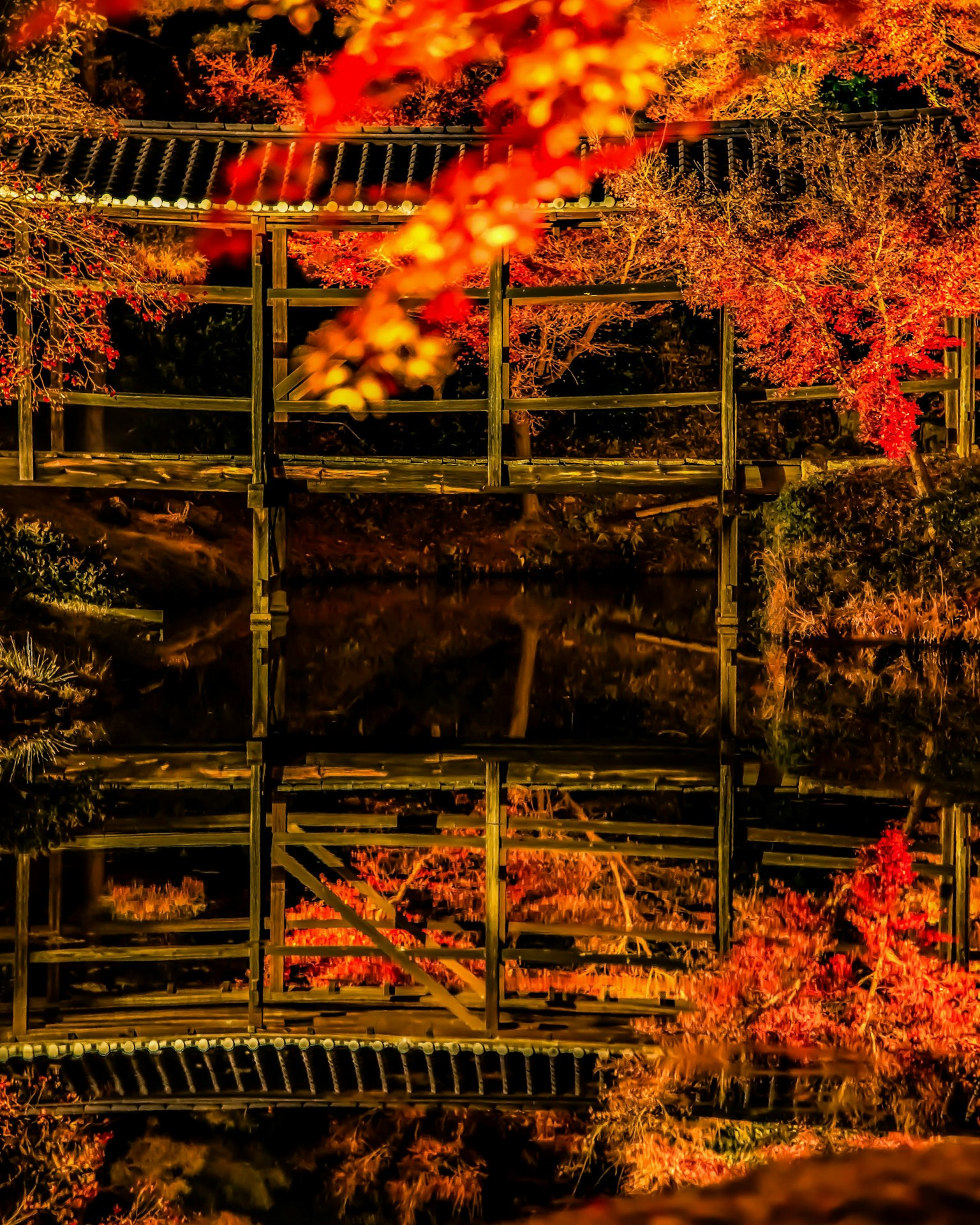 秋天风景中桥的倒影与鲜艳的红叶