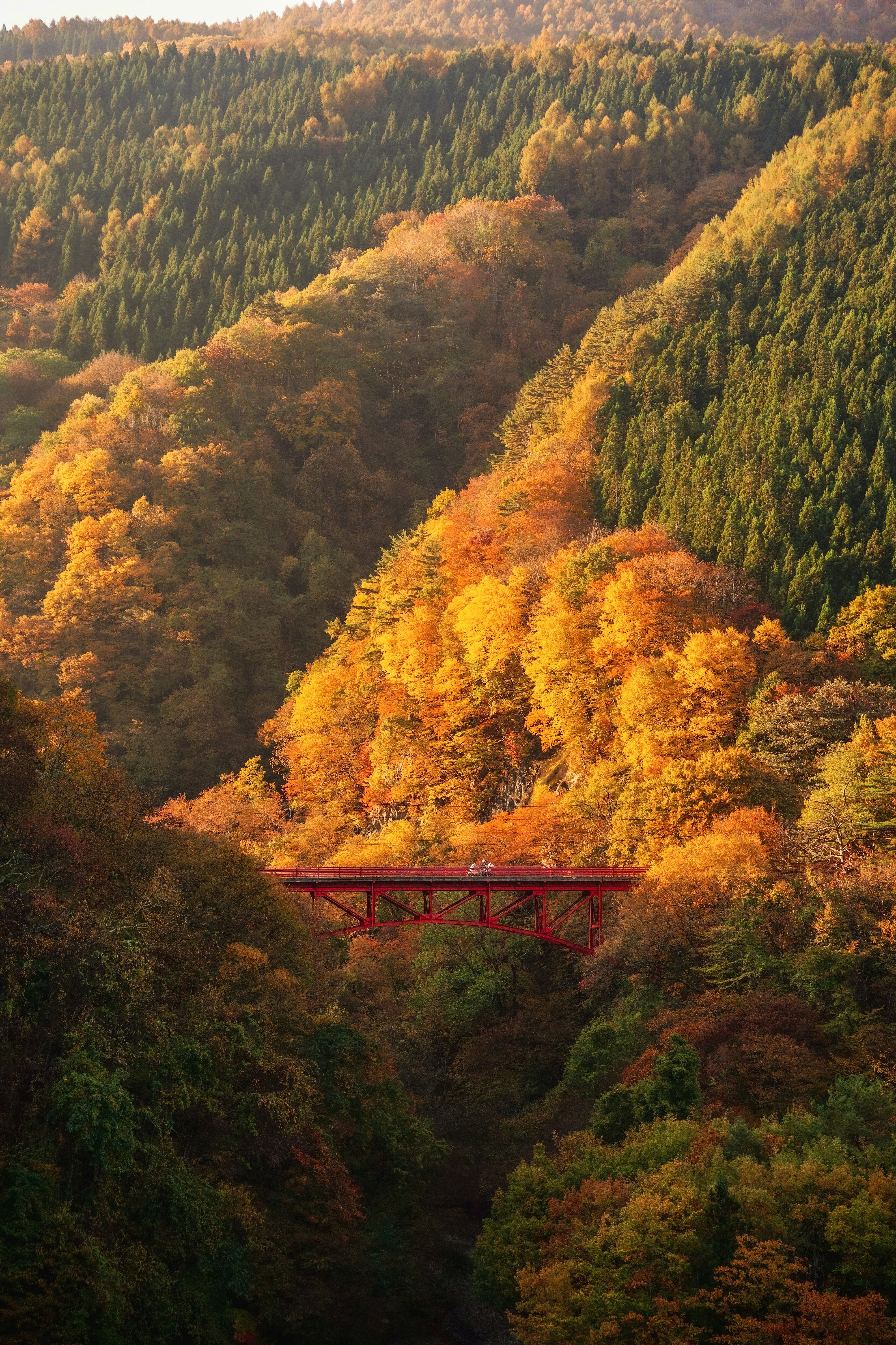紅葉の山あいにかかる赤い橋のある渓谷の風景