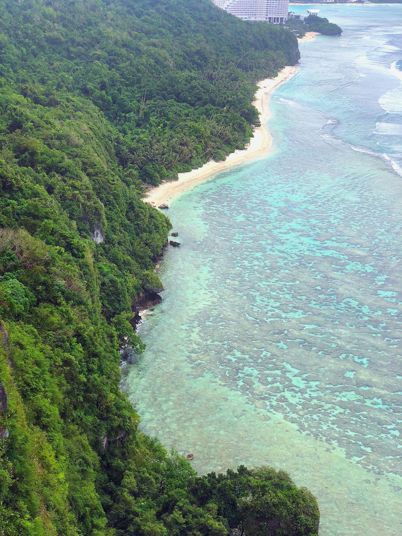 Vista aérea de montañas verdes y una playa turquesa