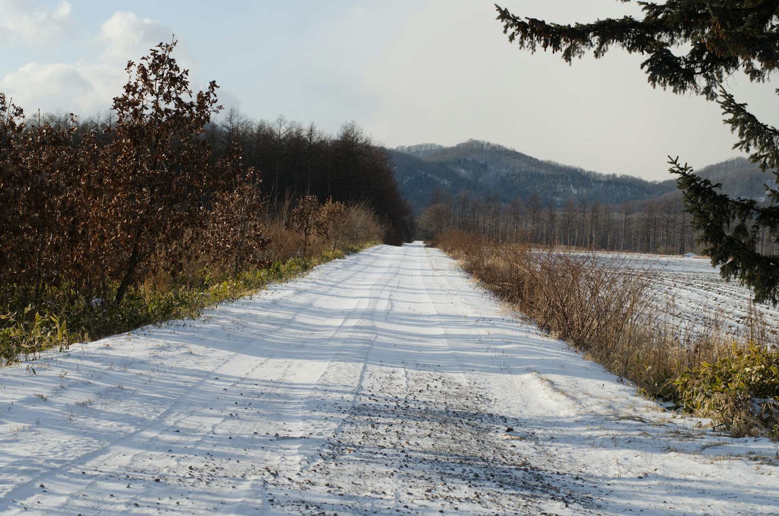 Strada coperta di neve con montagne lontane e alberi