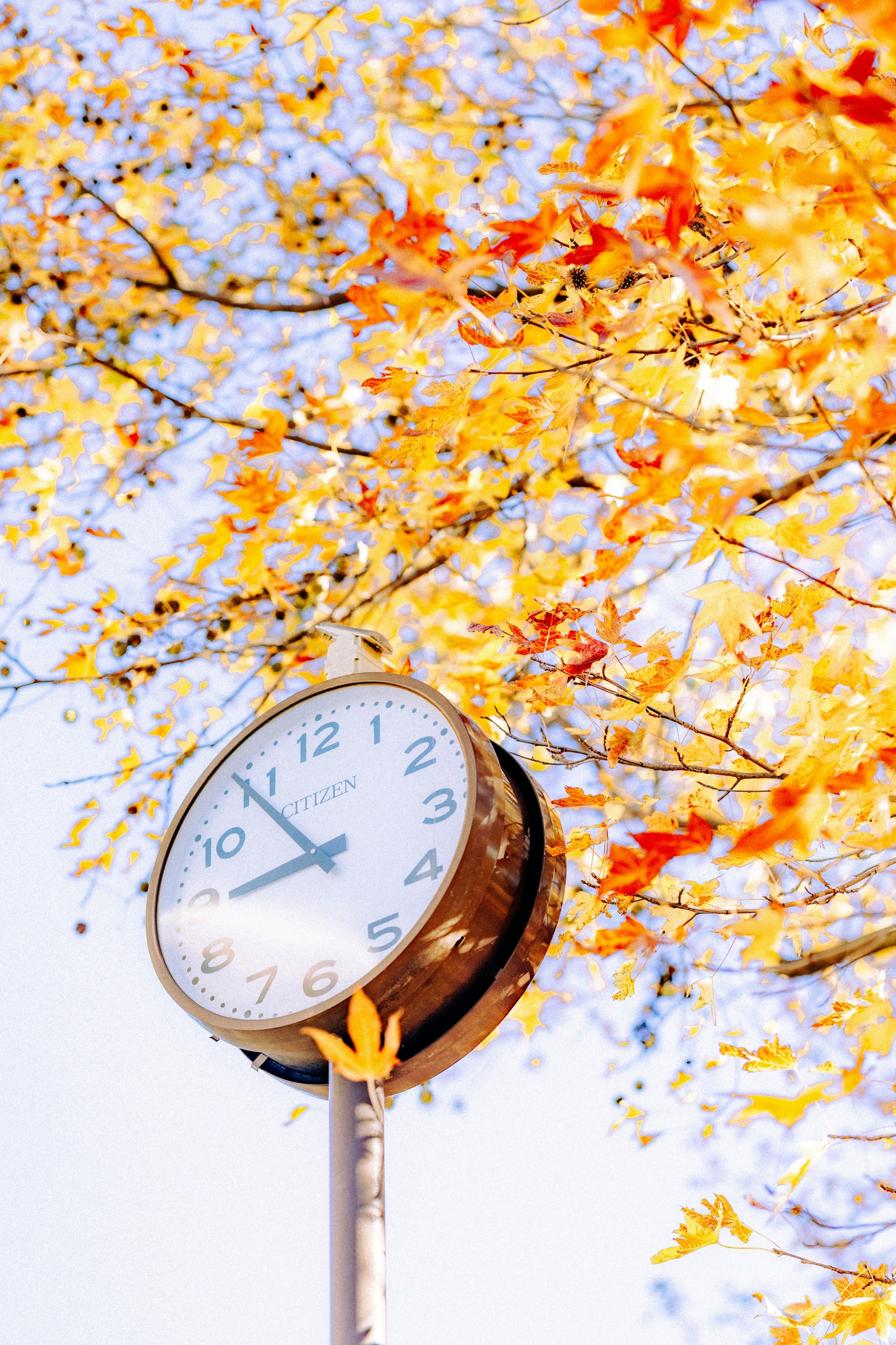 Analoge Uhr umgeben von Herbstblättern