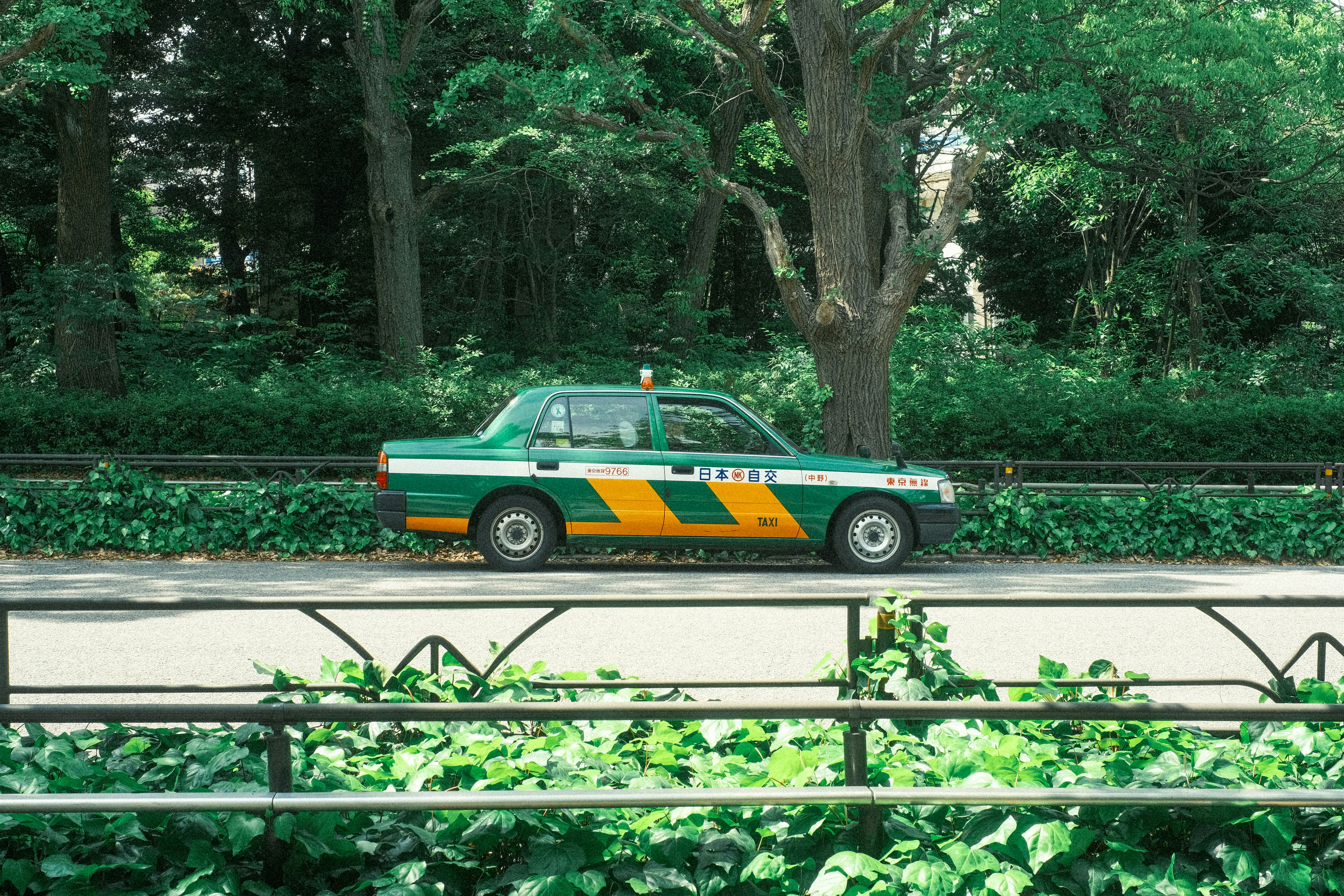 Green and yellow taxi driving on a road surrounded by greenery