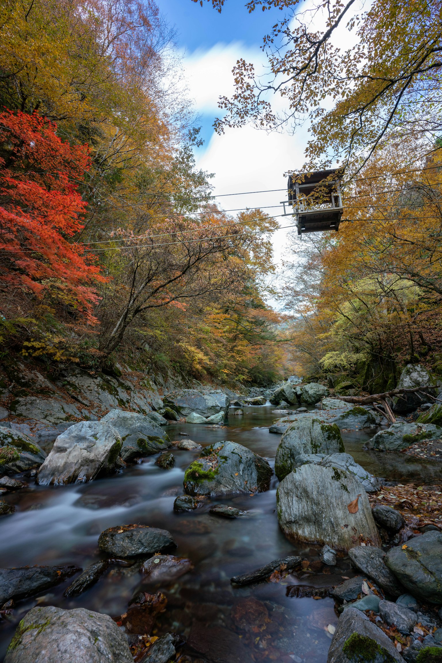 Malersicher Blick auf bunte Herbstbäume und einen fließenden Fluss mit einer Seilbahn darüber