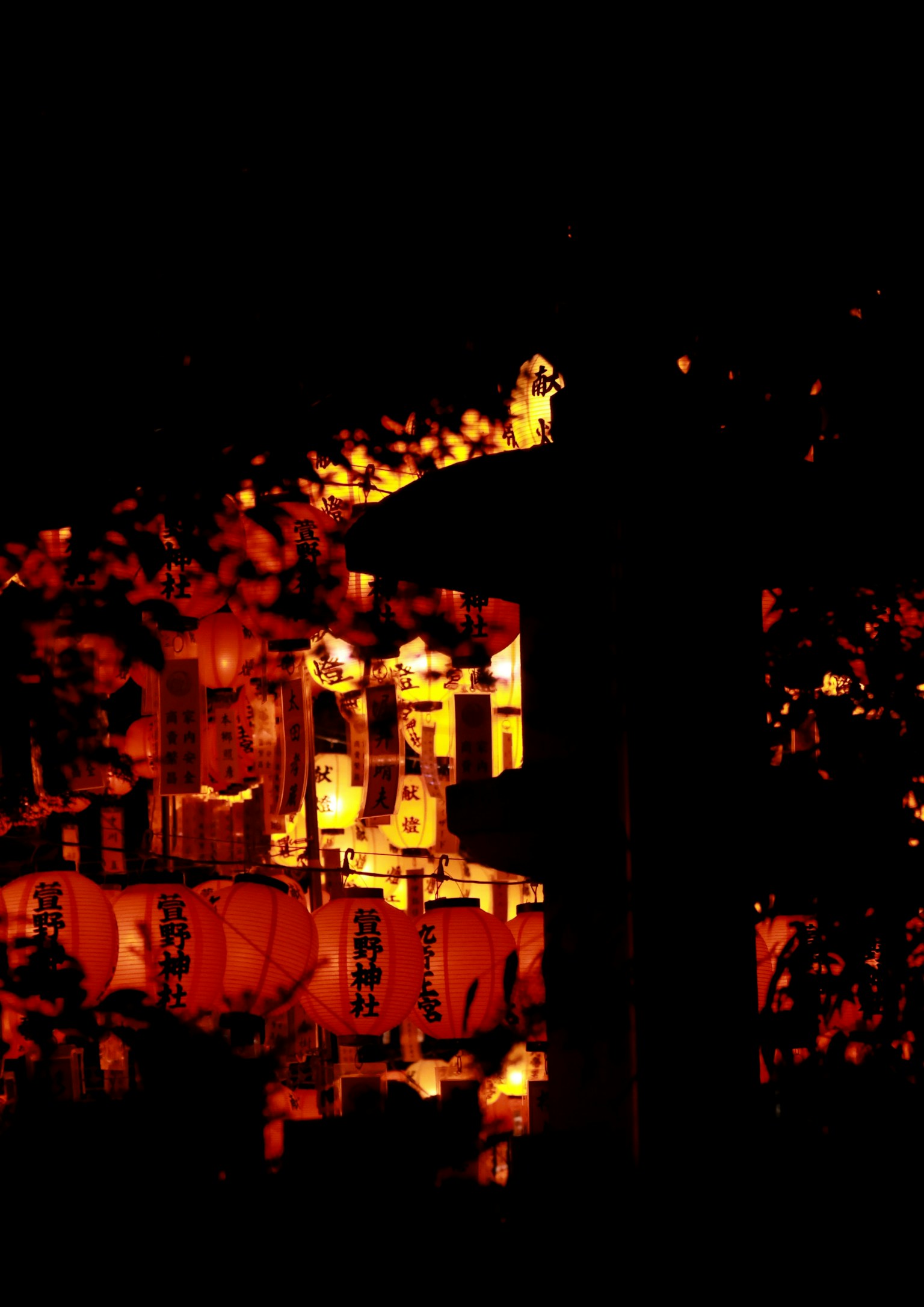 photo-rXMs0R2PGrJ00qOsSz3f-image