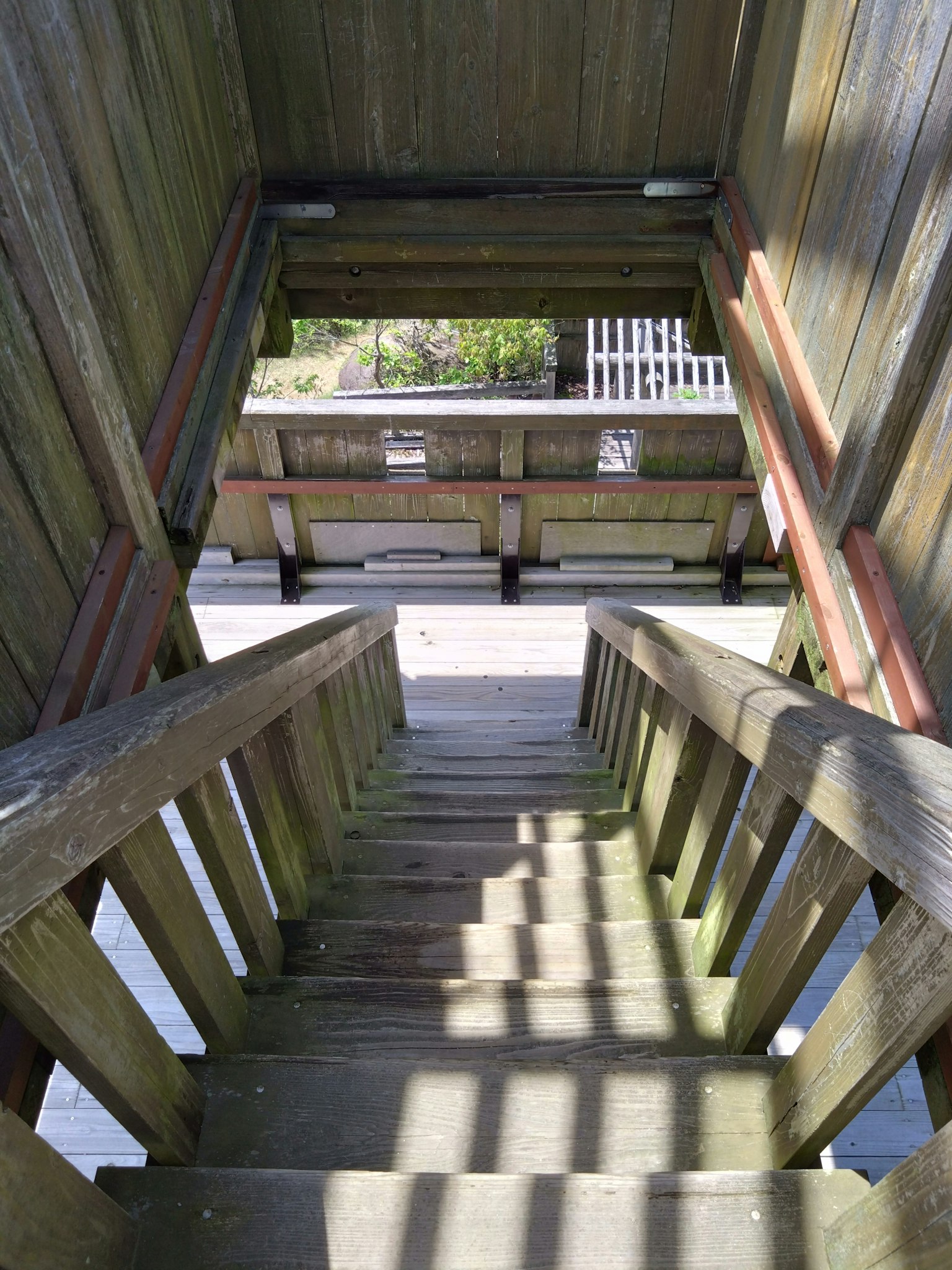 Escalier en bois descendant à l'intérieur d'une structure avec lumière entrant