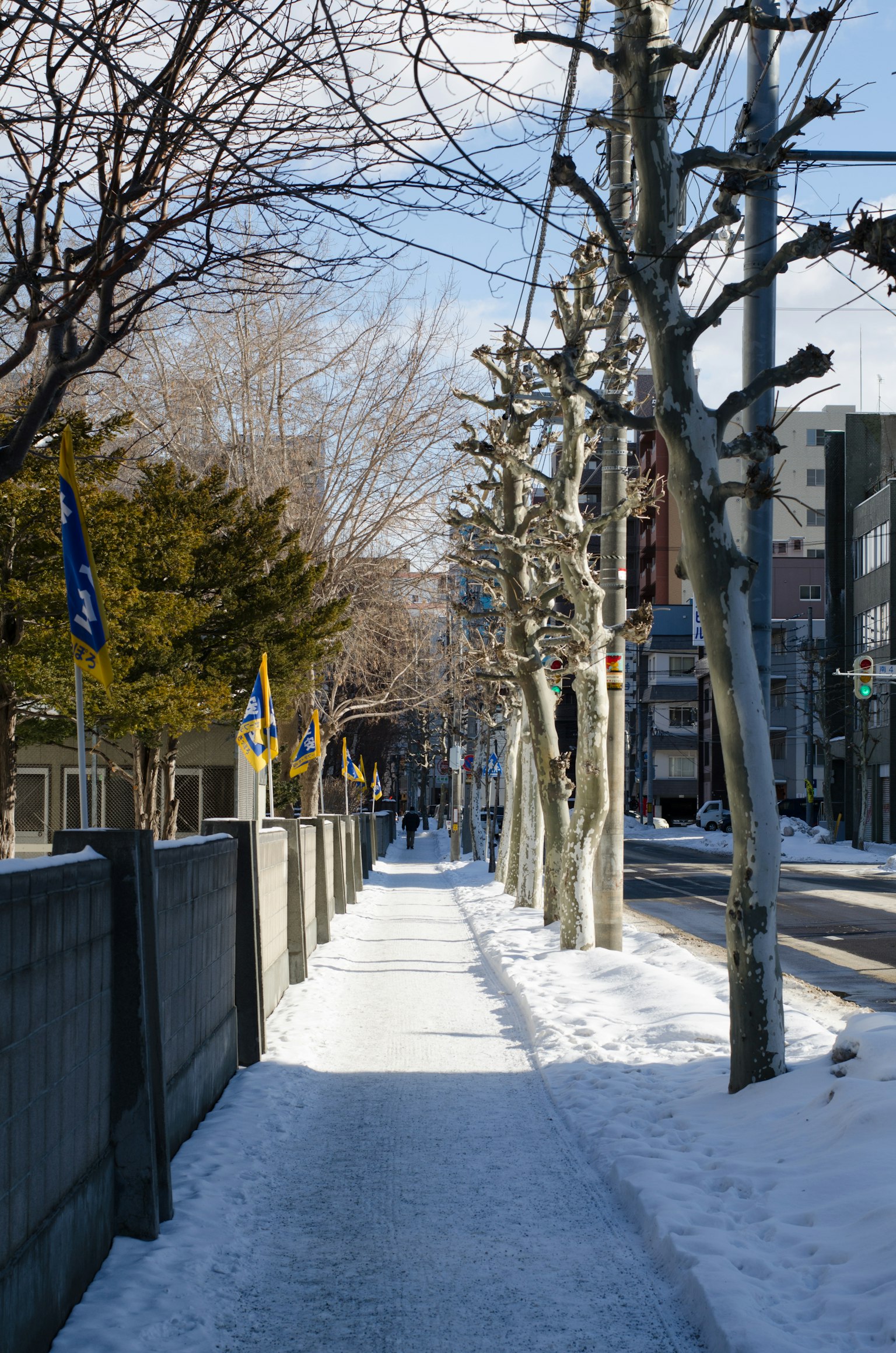 Marciapiede coperto di neve con alberi invernali lungo la strada