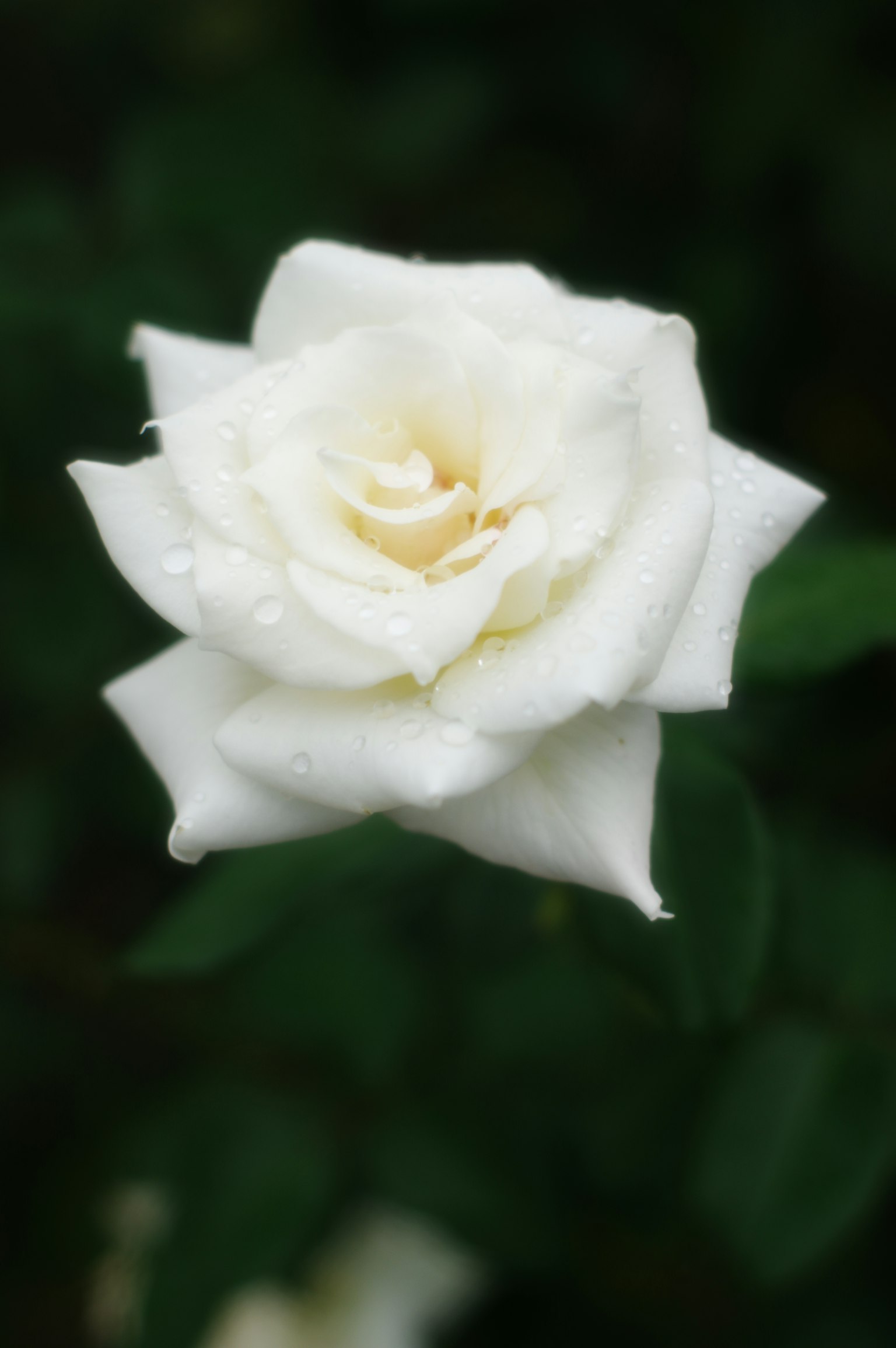 Desain grafis sederhana dengan latar belakang gelap