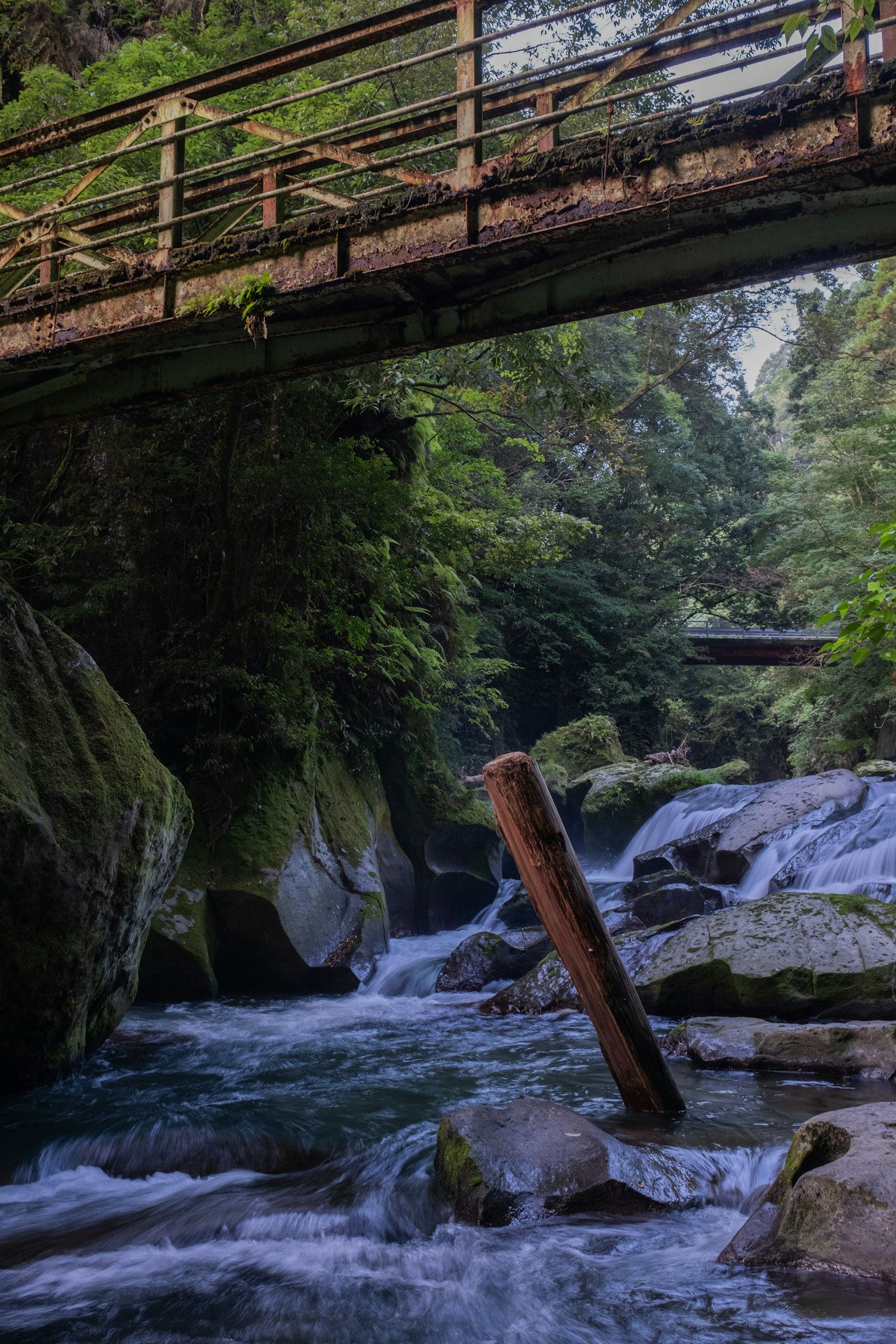 郁郁葱葱的森林中溪流和古老桥梁的风景