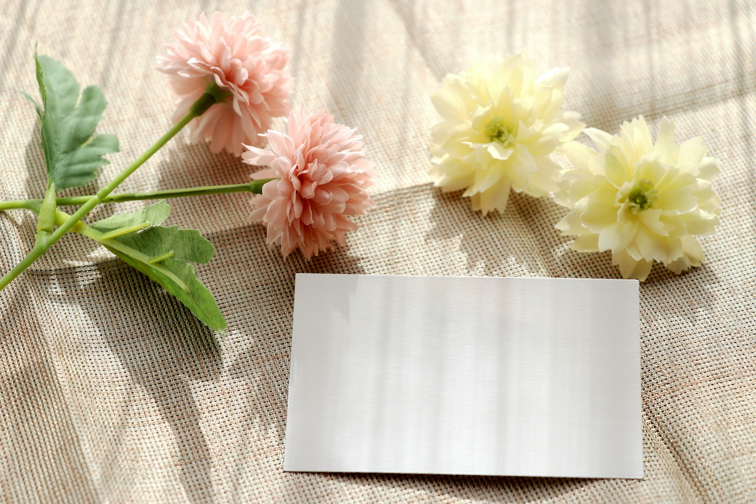 Bild mit sanften Blumenfarben und einer leeren weißen Karte