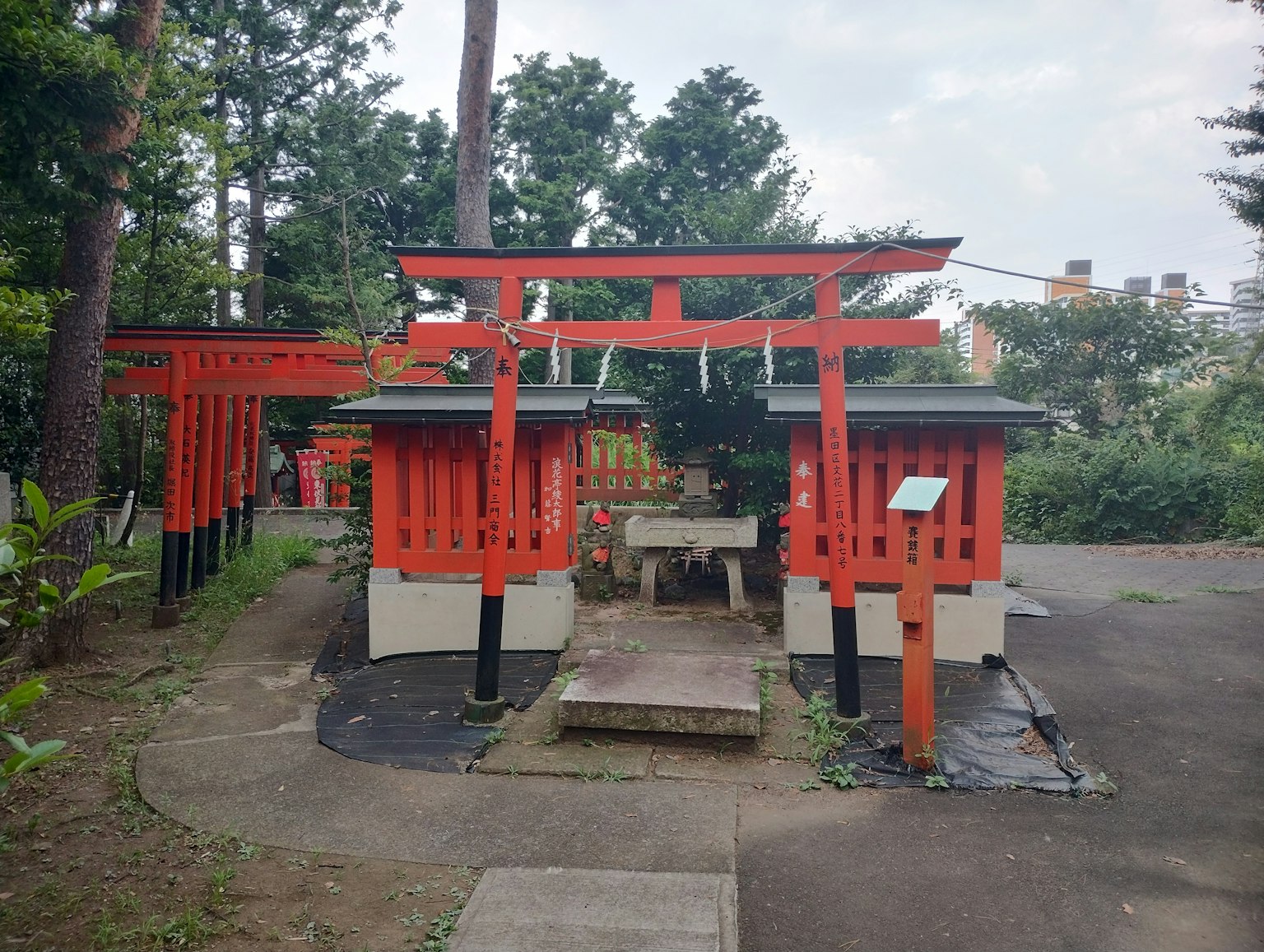 带有红色鸟居的日本神社风景