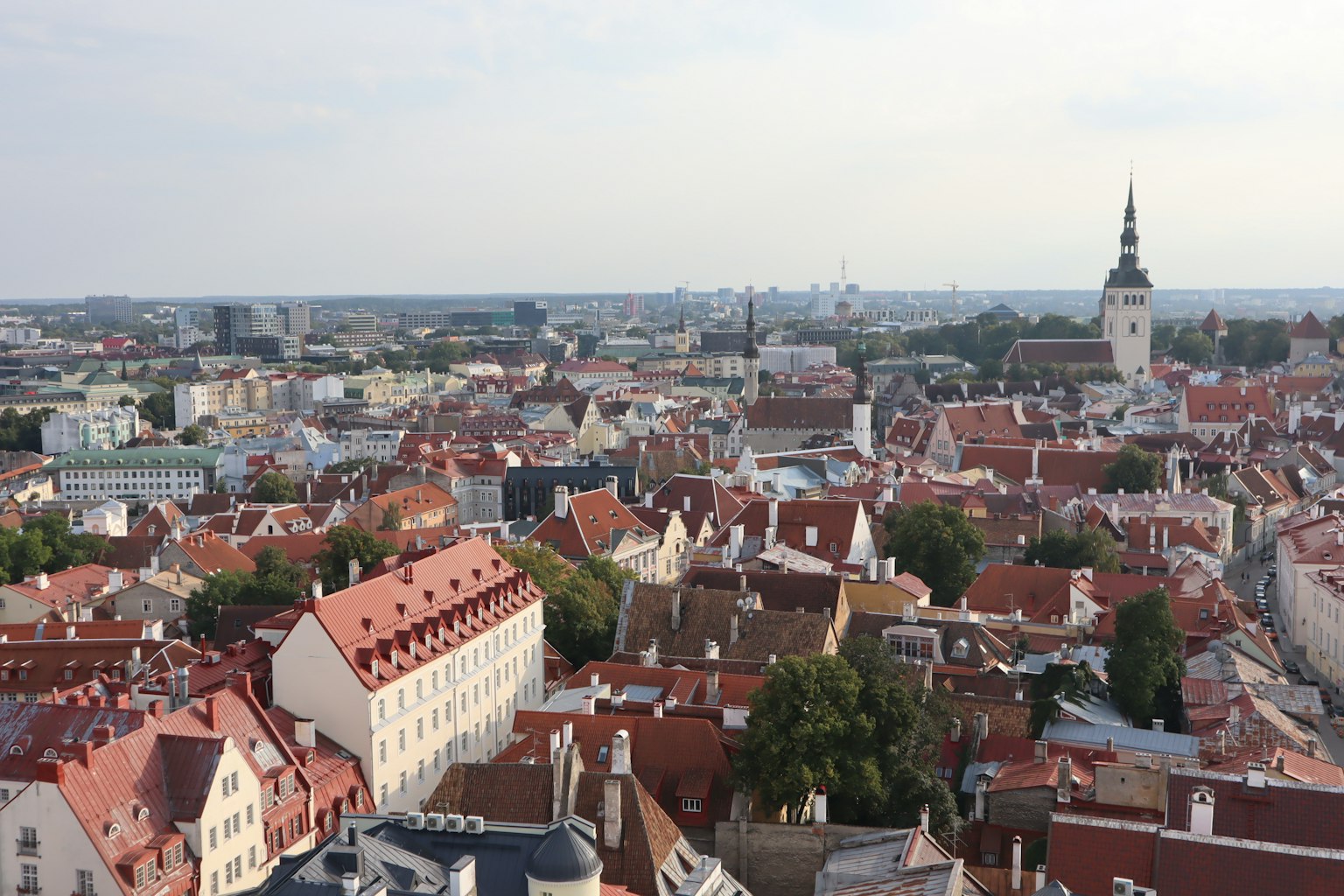 Vista di Tallinn con tetti rossi e alberi verdi