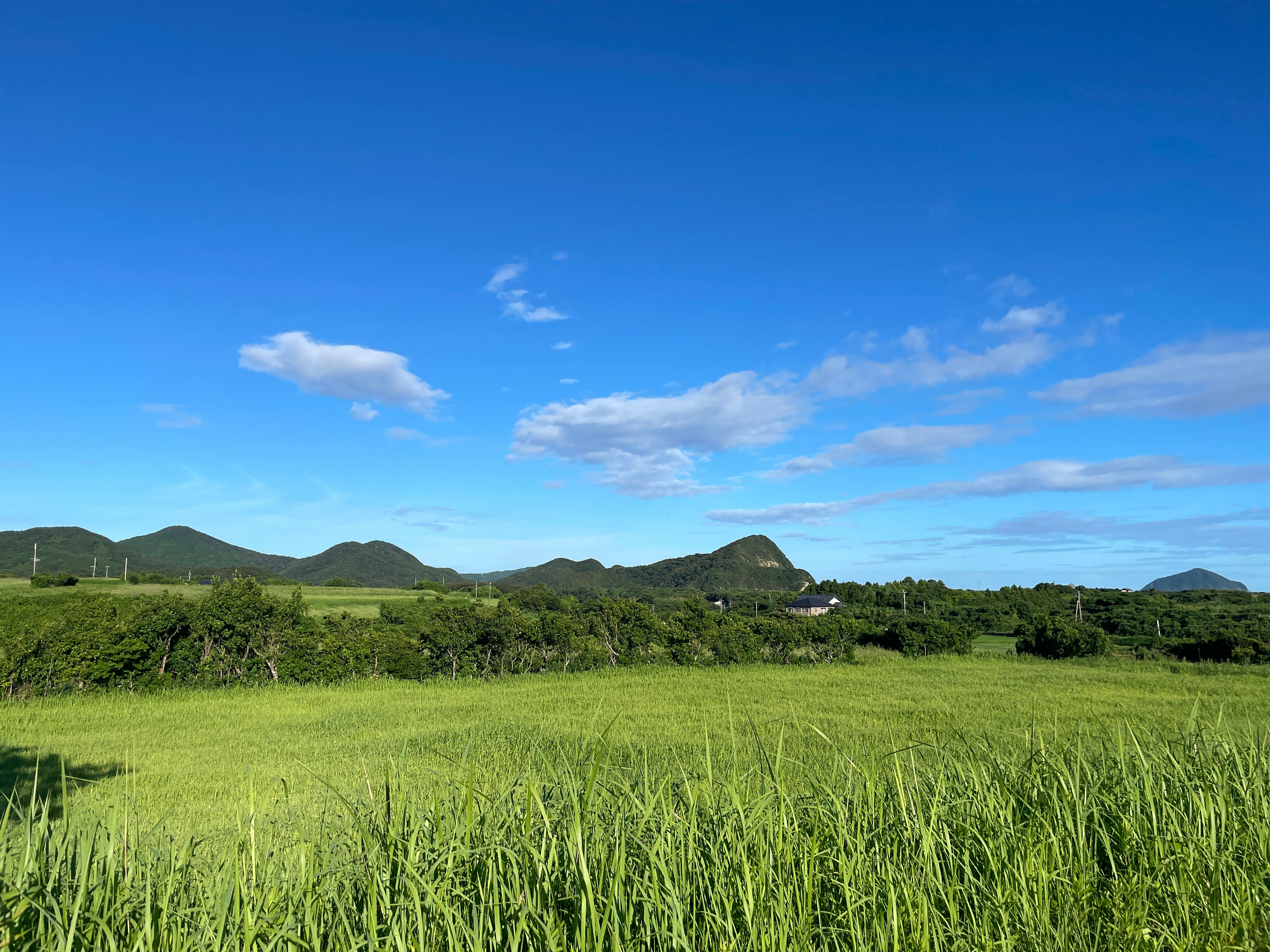 青空の下で広がる緑の草原と山並み